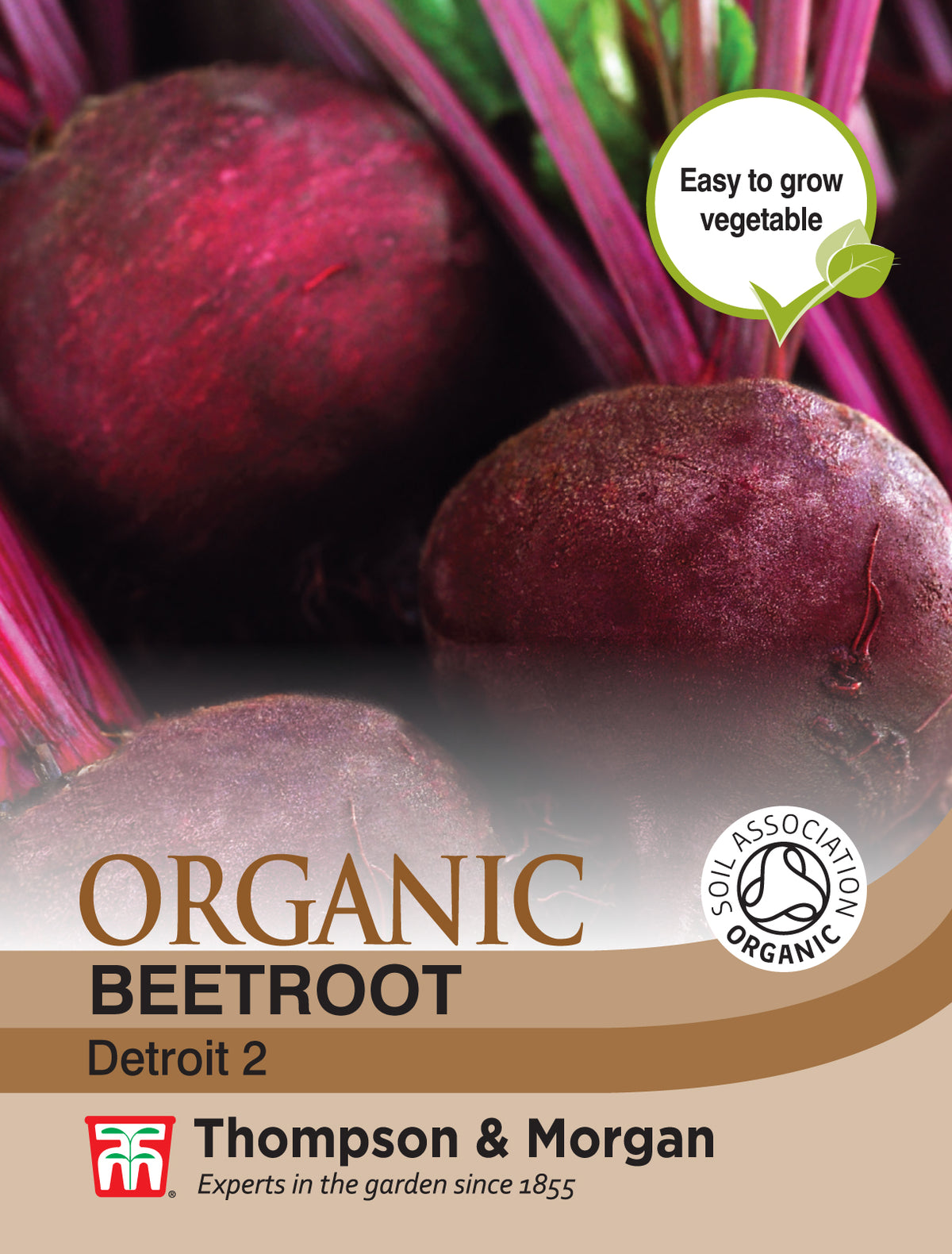 Beetroot Detroit 2 (Organic)- Pack of seeds