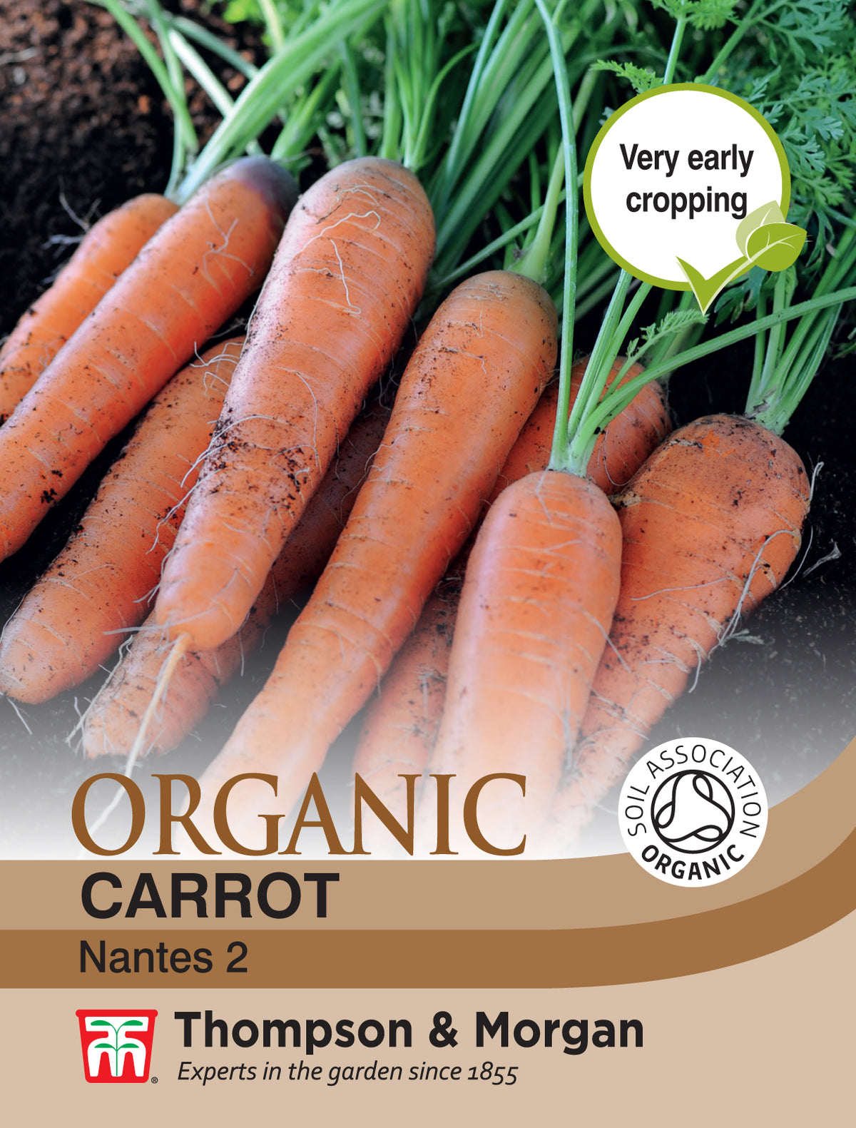 Carrot Nantes 2 (Organic)- Pack of seeds