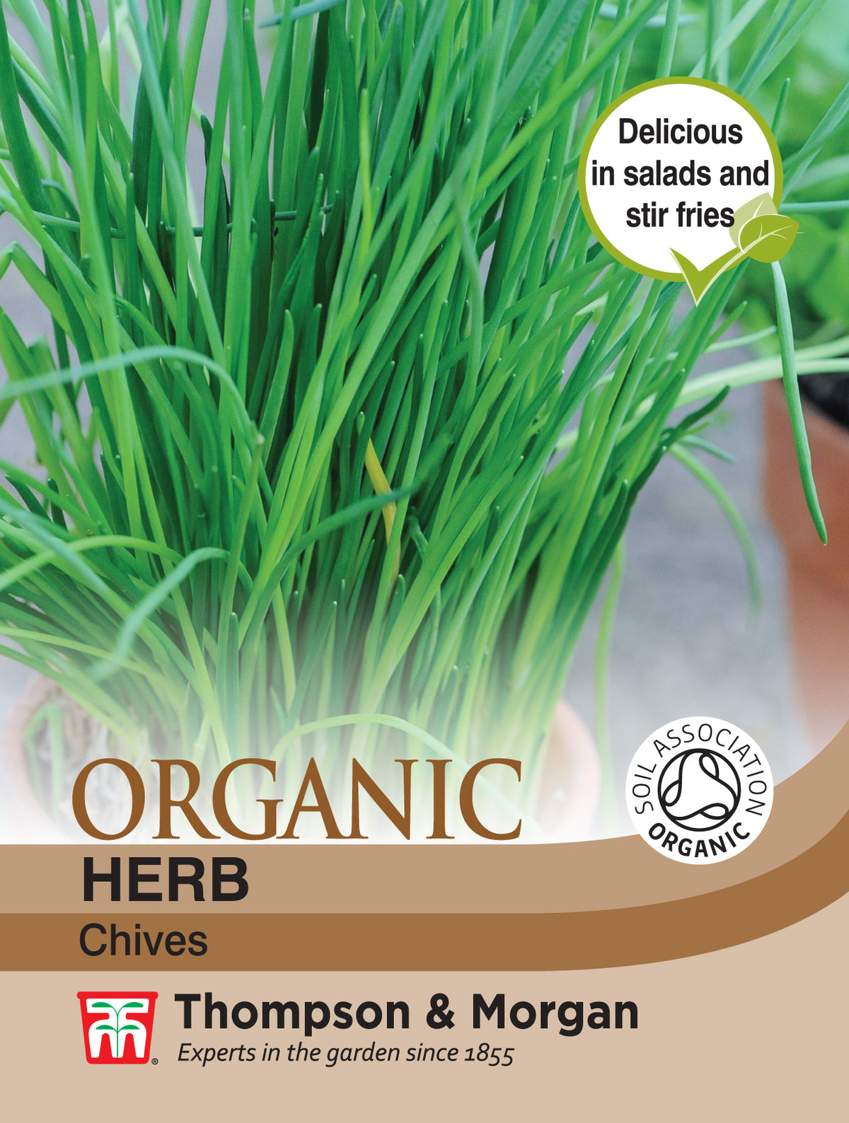 Herb Chives (Organic)- Pack of seeds