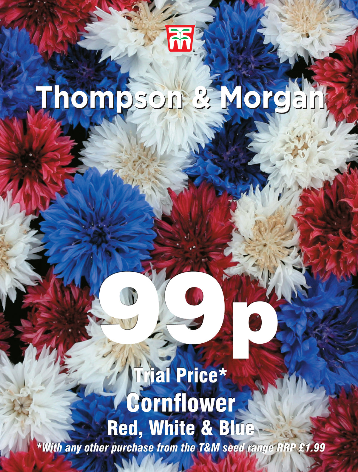 Cornflower Red, White & Blue- Pack of seeds