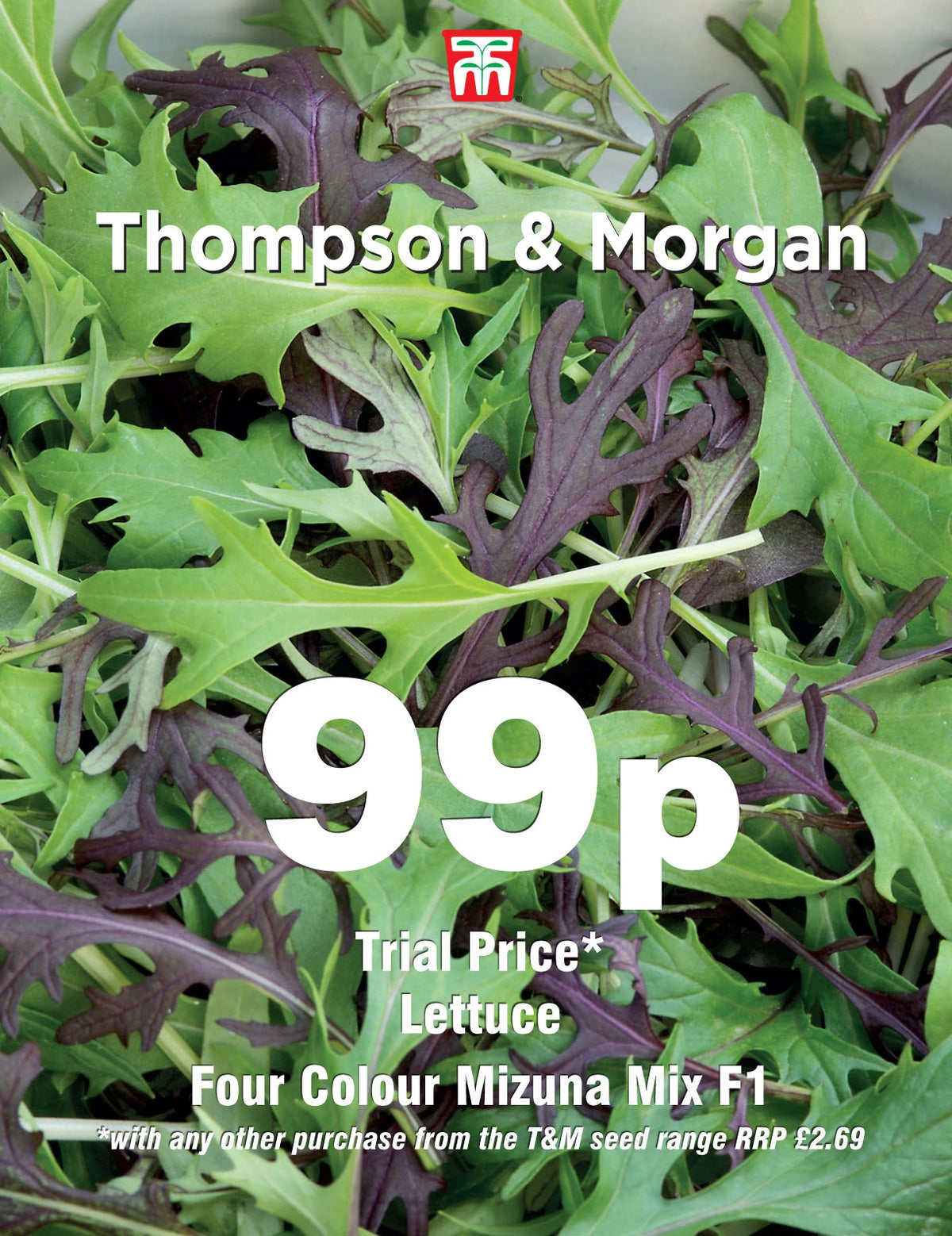 Lettuce Four Colour Mizuna Mixed- Pack of seeds