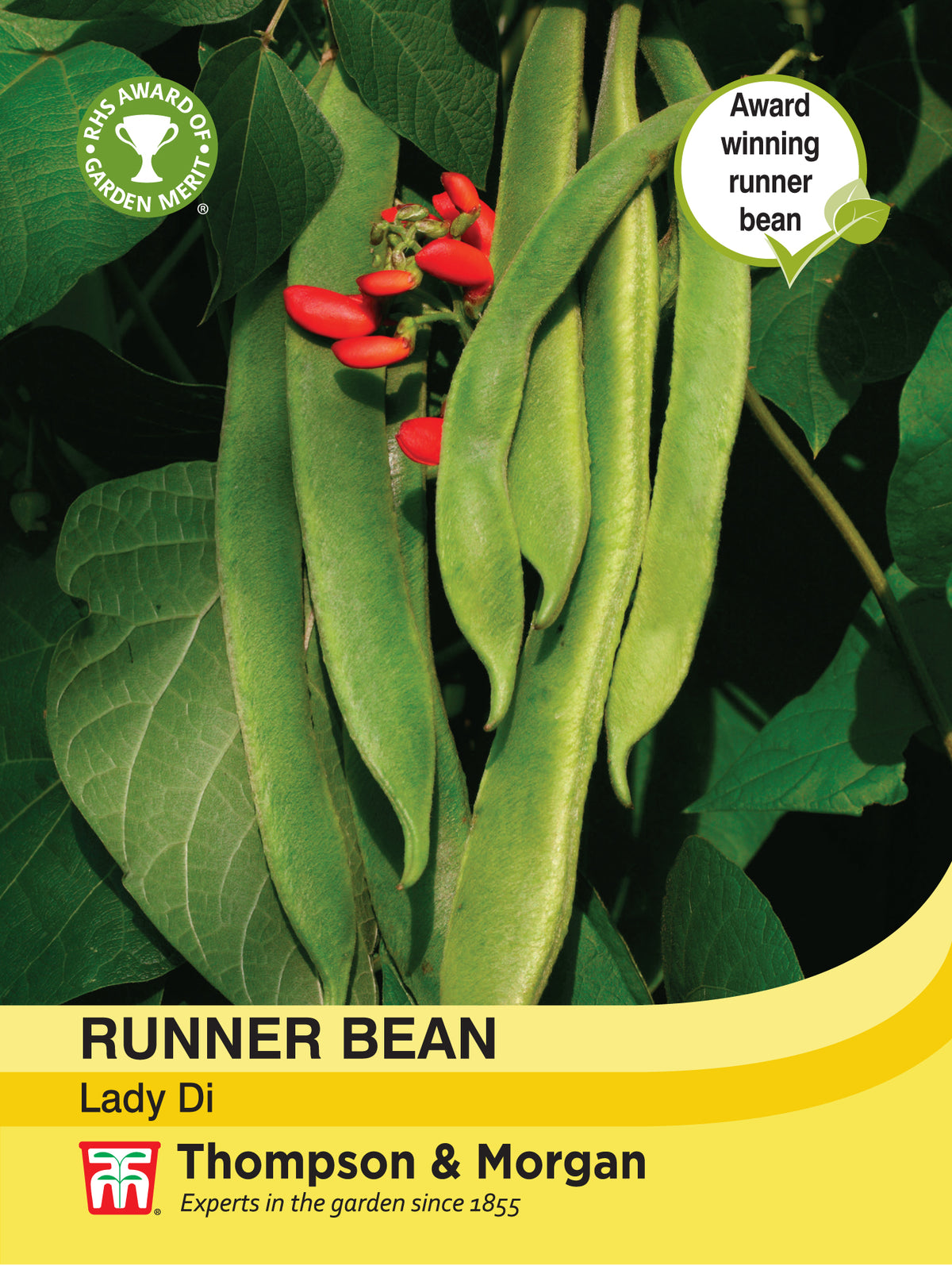 Runner Bean Lady Di- Pack of seeds
