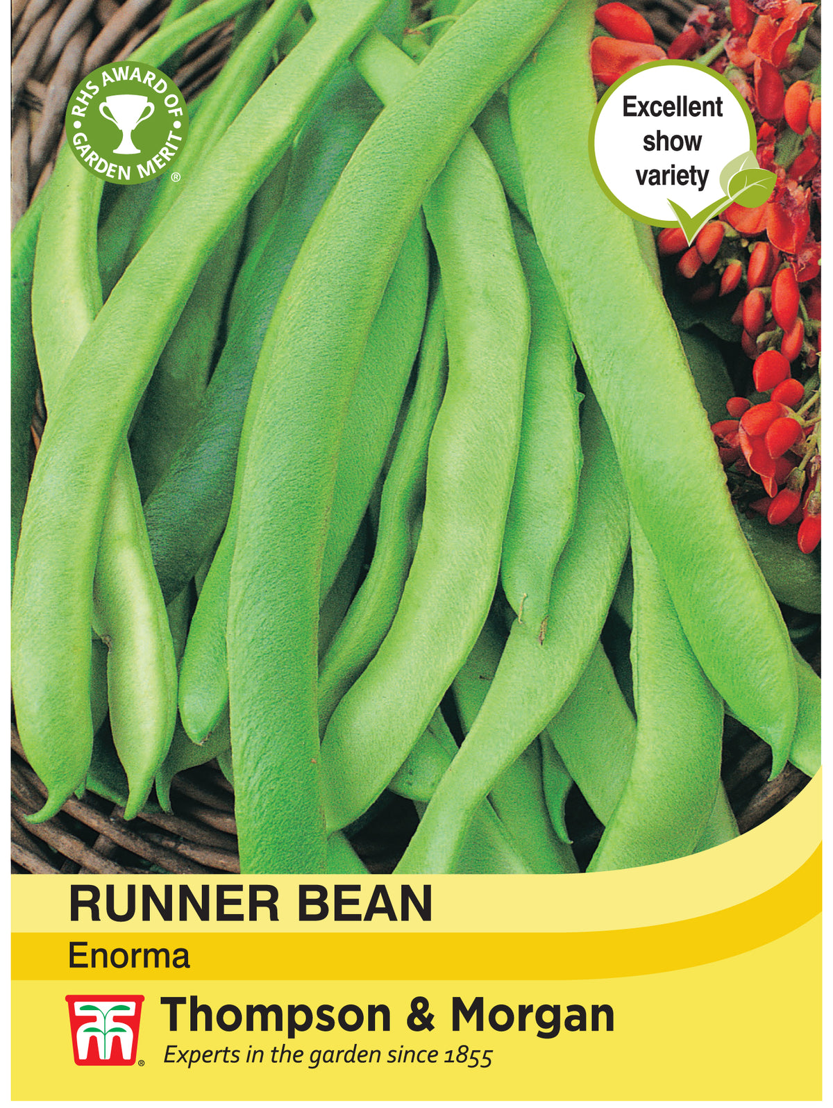 Runner Bean Enorma- Pack of seeds