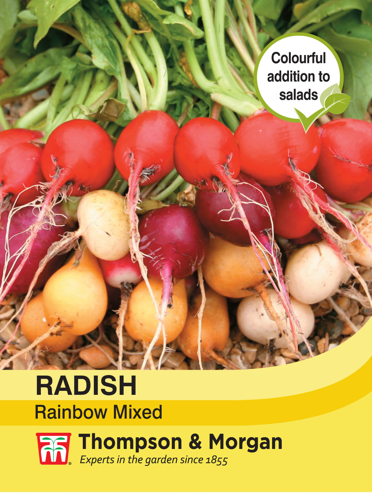 Radish Rainbow Mixed- Pack of seeds