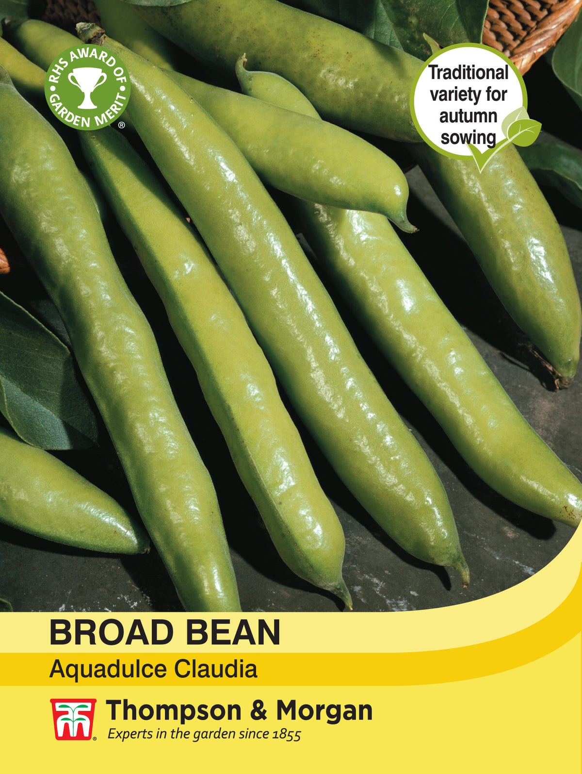 Broad Bean Aquadulce Claudia- Pack of seeds