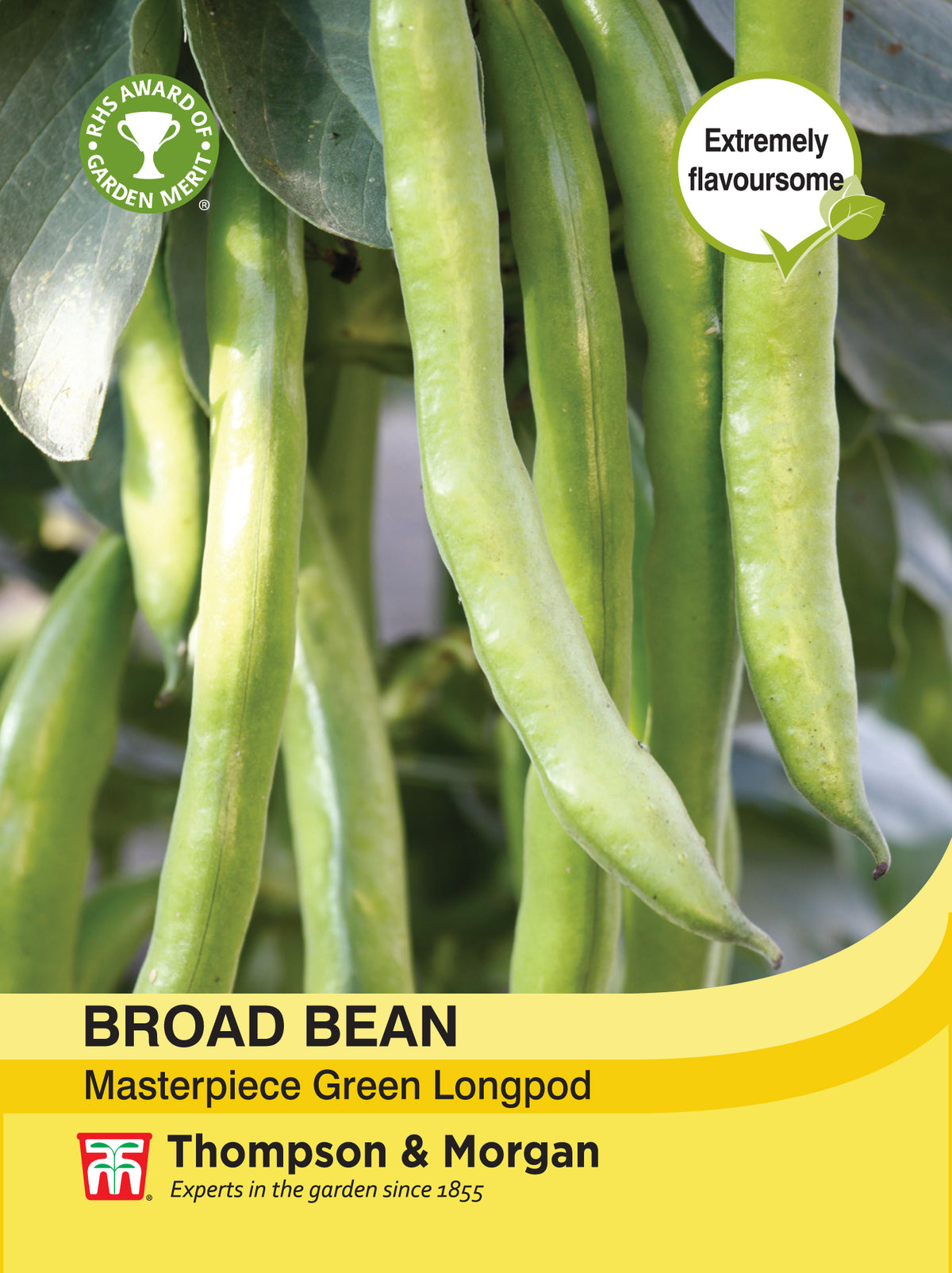 Broad Bean Masterpiece Green Longpod- Pack of seeds