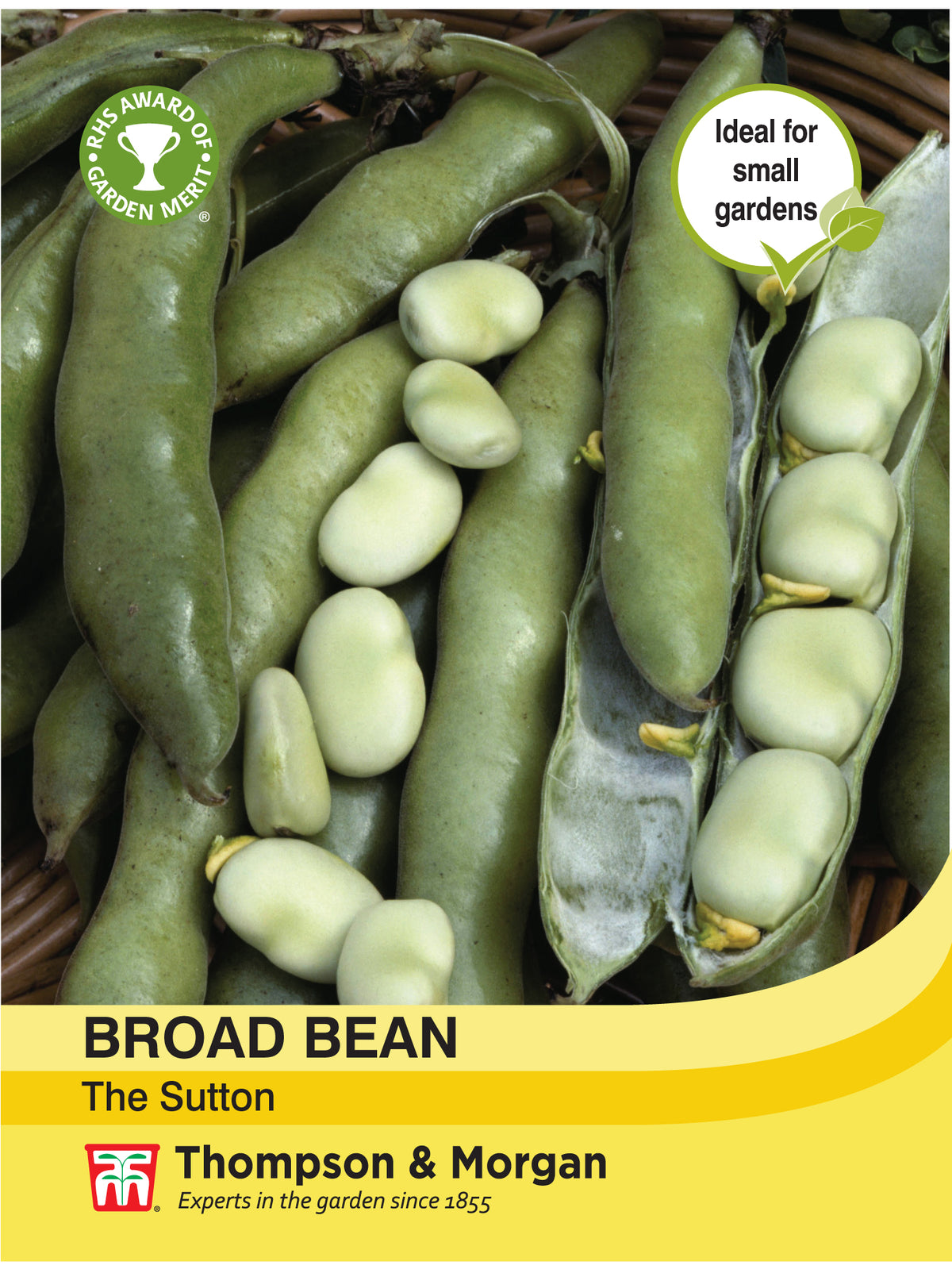 Broad Bean The Sutton- Pack of seeds