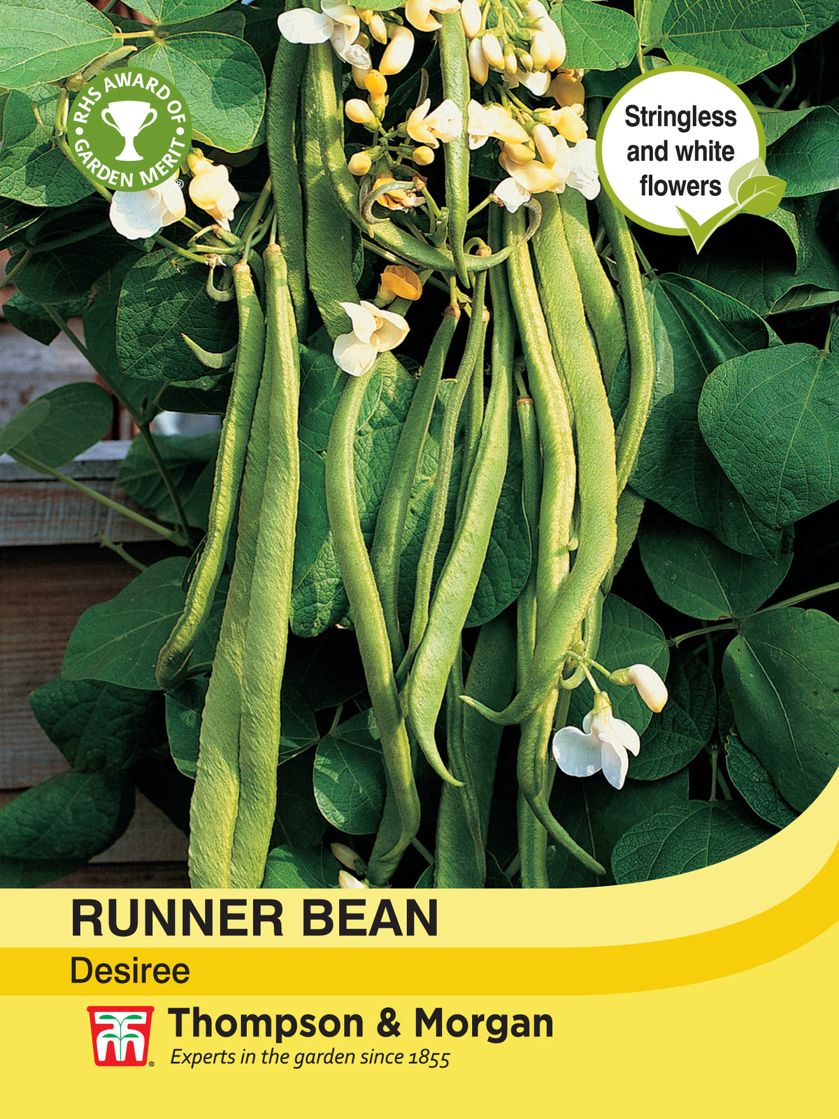 Runner Bean Desiree- Pack of seeds