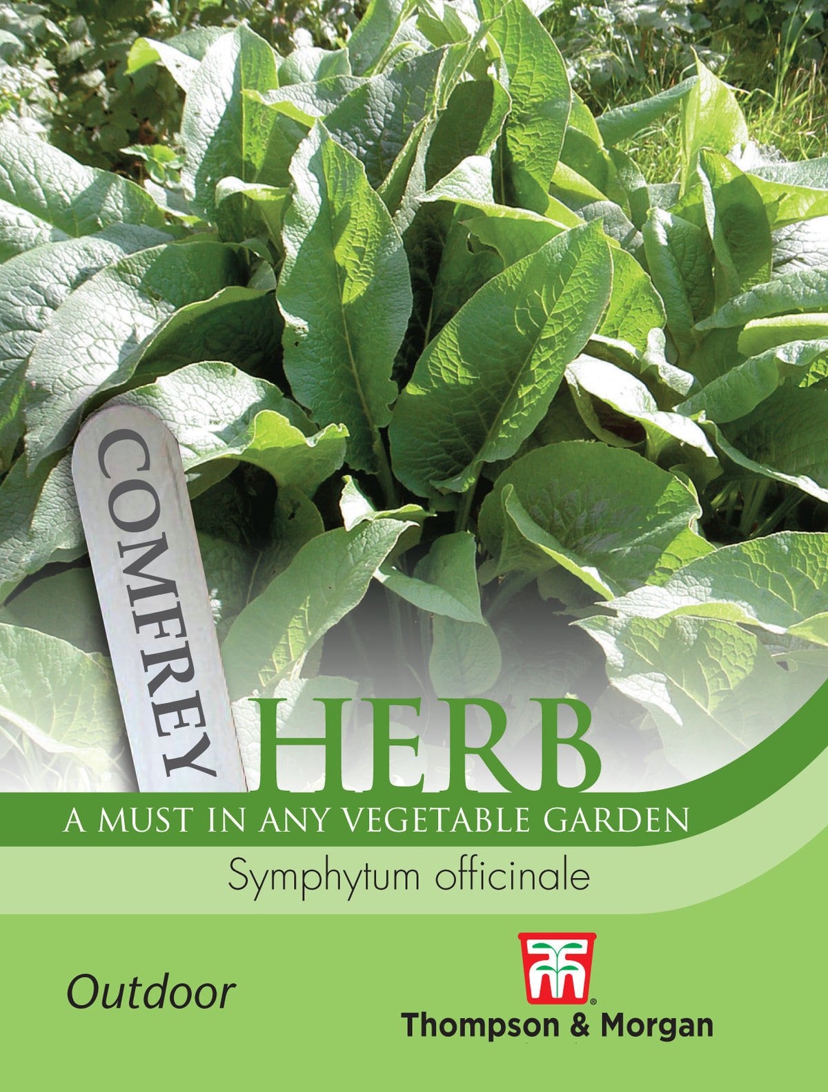 Herb Comfrey- Pack of seeds