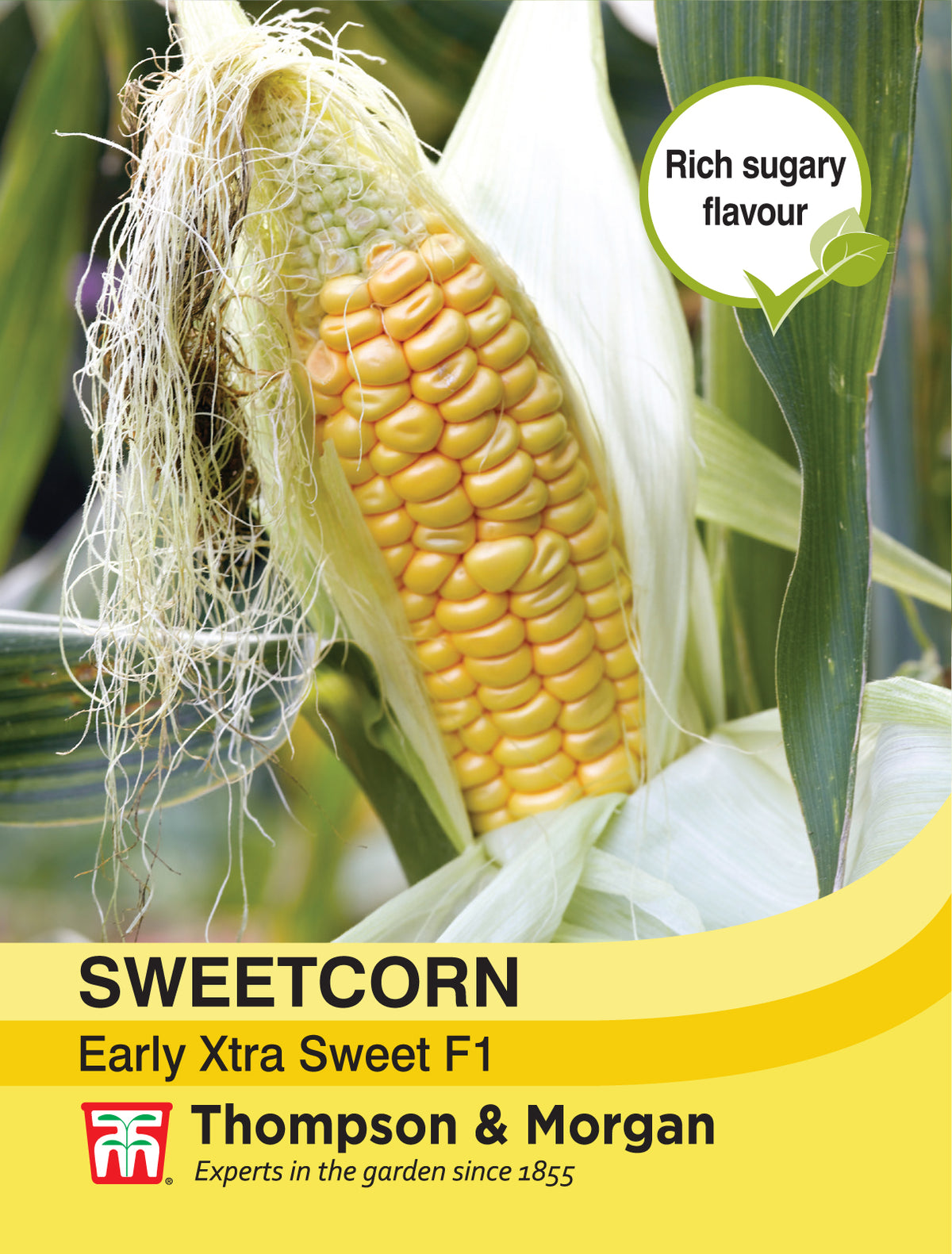 Sweetcorn Early Xtra Sweet F1 Hybrid- Pack of seeds