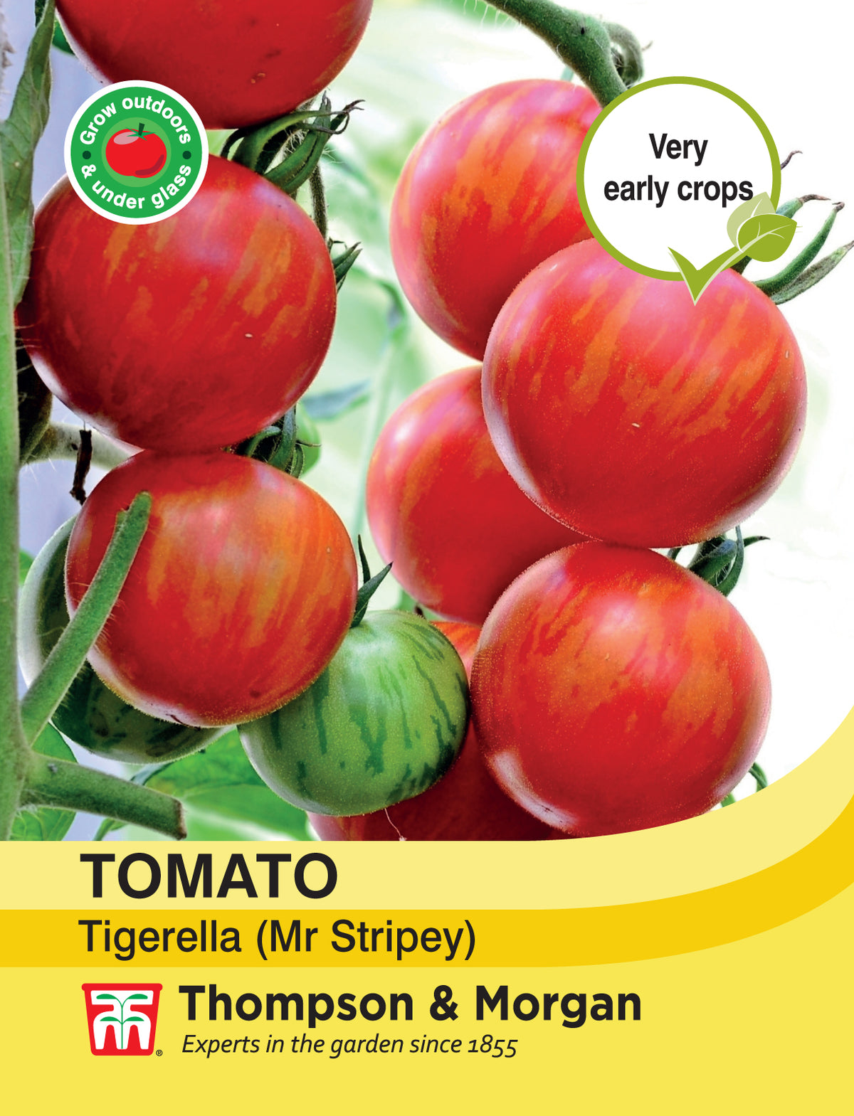 Tomato Tigerella (Mr Stripey)- Pack of seeds