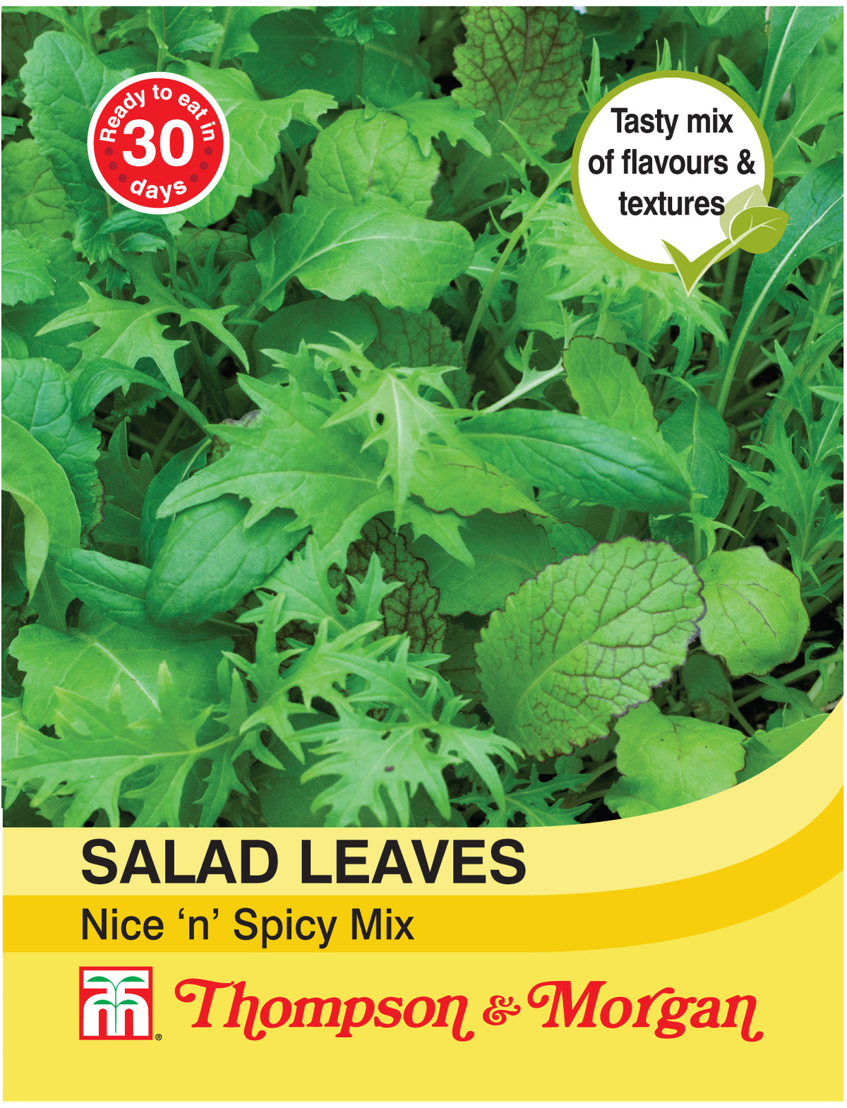Salad Leaves - Nice n Spicy Mixed- Pack of seeds