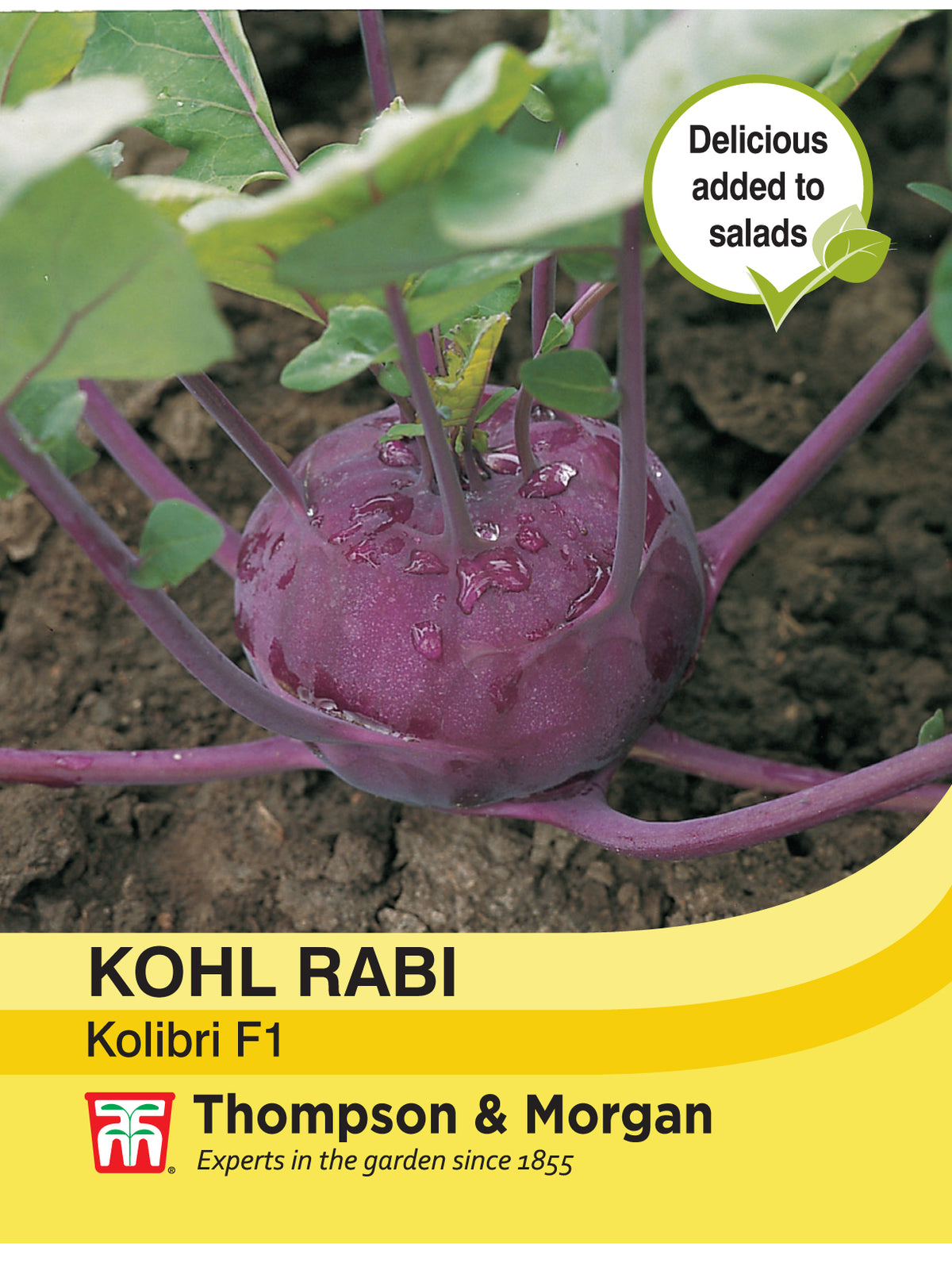 Kohl Rabi Kolibri F1 Hybrid- Pack of seeds