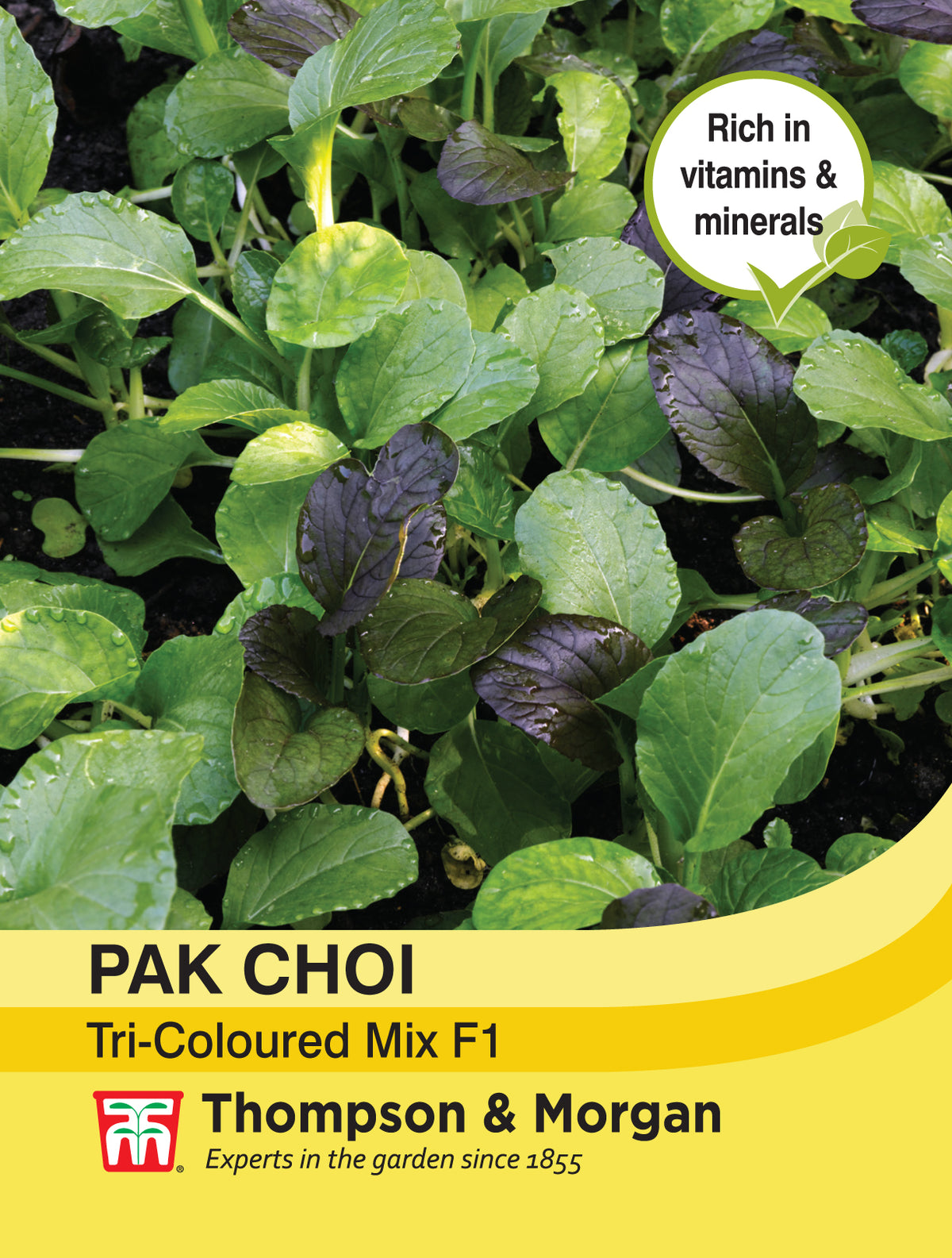 Pak Choi (Chinese Cabbage) Tricoloured Mix F1 Hybrid- Pack of seeds