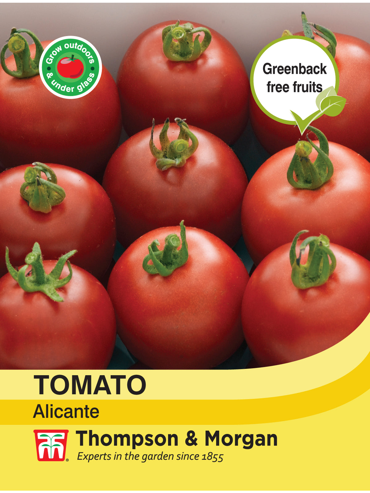 Tomato Alicante - Pack of seeds