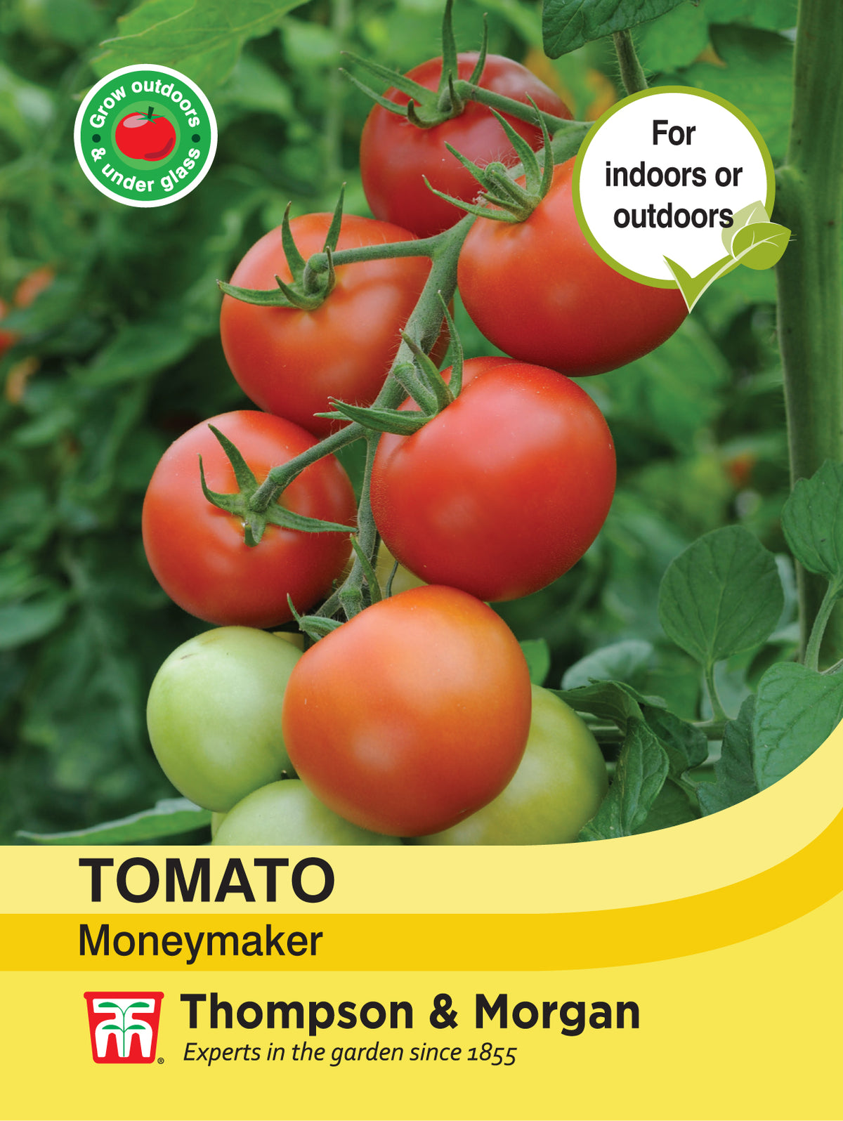 Tomato Moneymaker- Pack of seeds