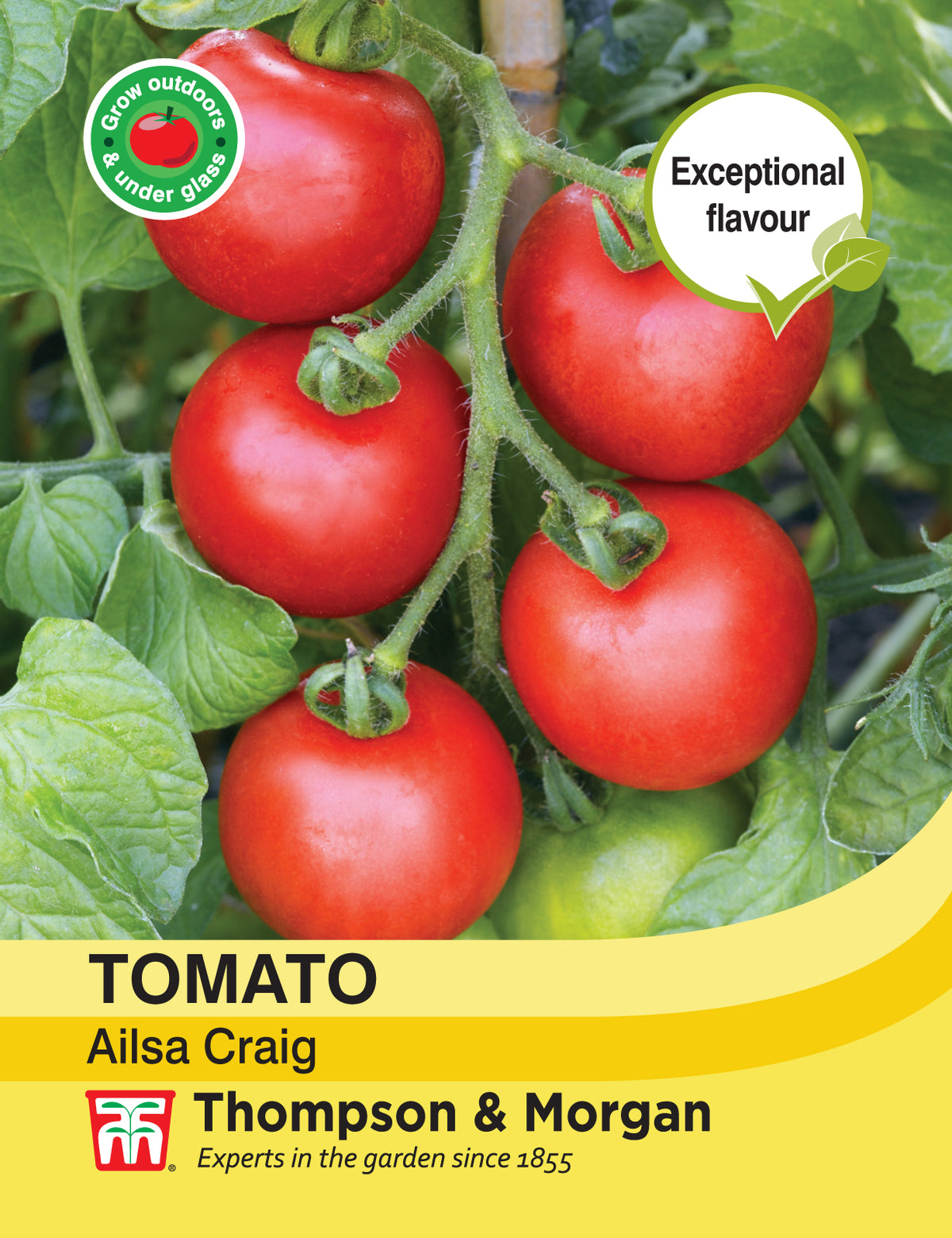 Tomato Ailsa Craig- Pack of seeds