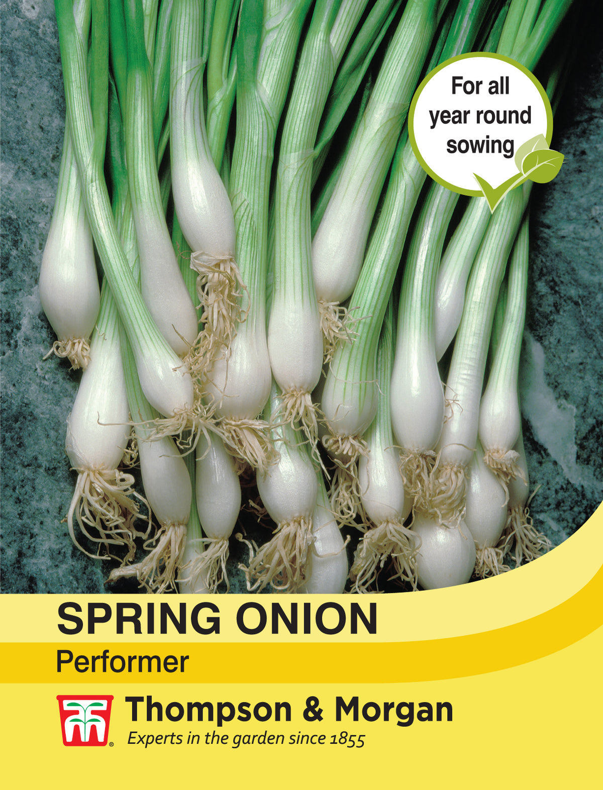 Spring Onion Performer- Pack of seeds