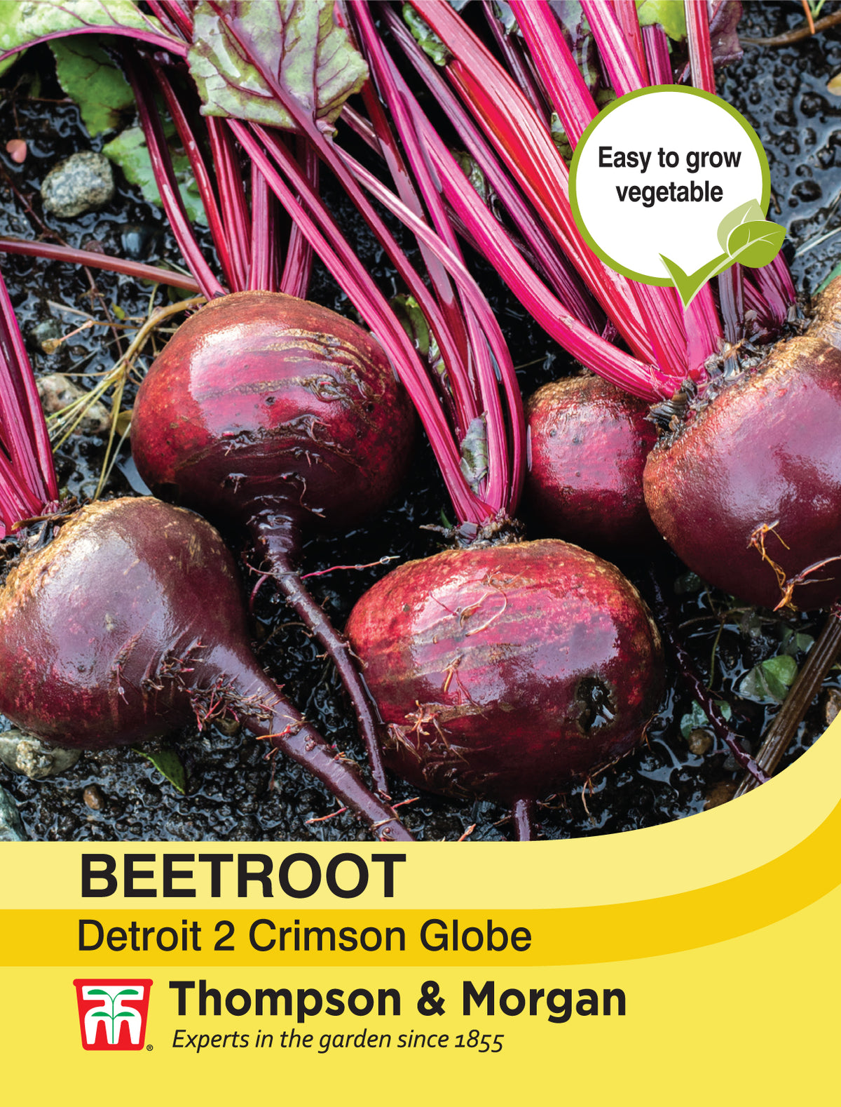 Beetroot Detroit 2 Crimson Globe- Pack of seeds