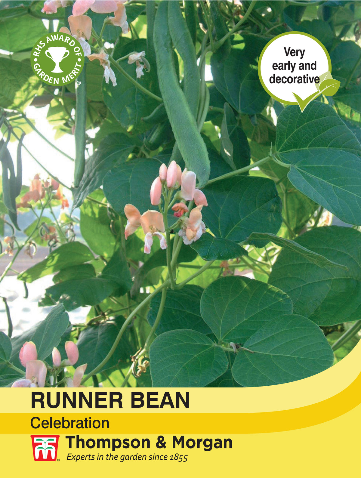 Runner Bean Celebration- Pack of seeds
