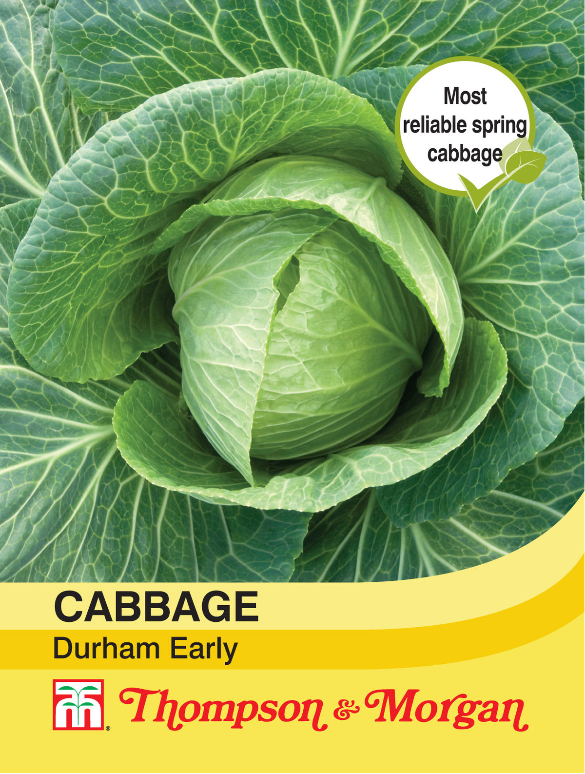 Cabbage Durham Early- Pack of seeds