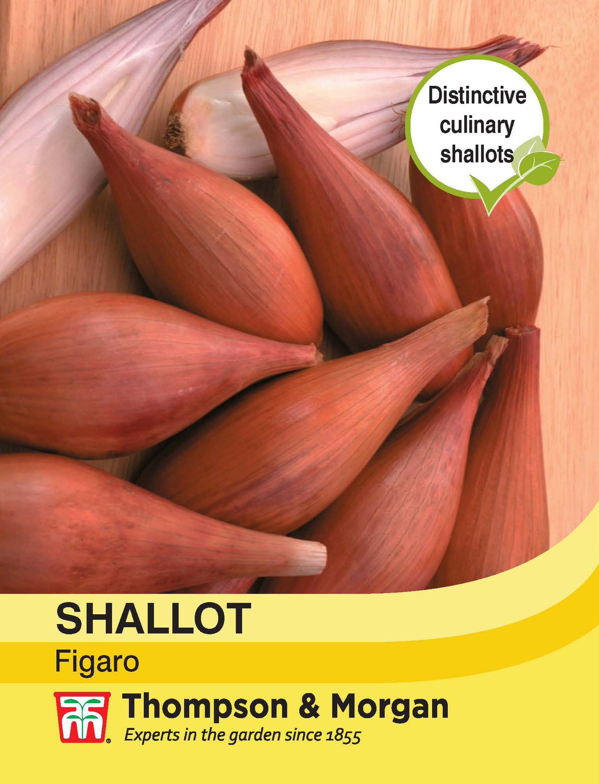 Shallot Figaro- Pack of seeds