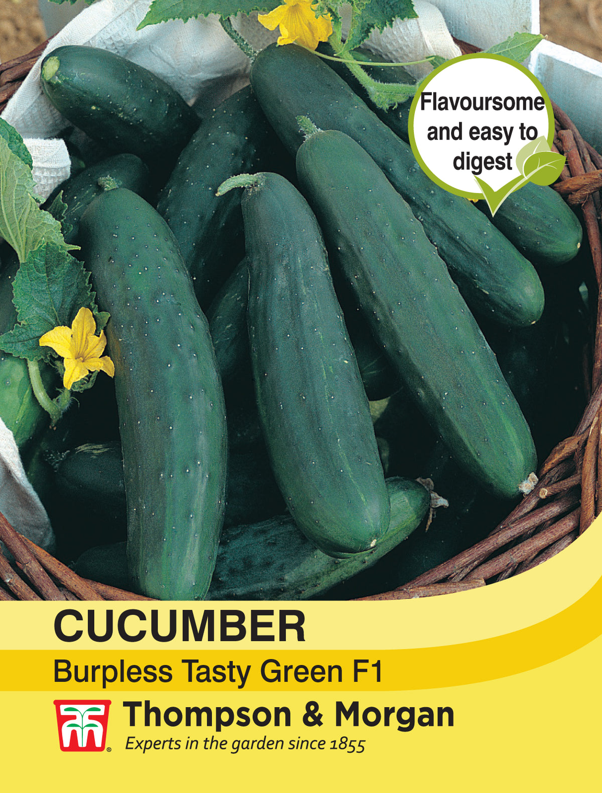 Cucumber Burpless Tasty Green- Pack of seeds