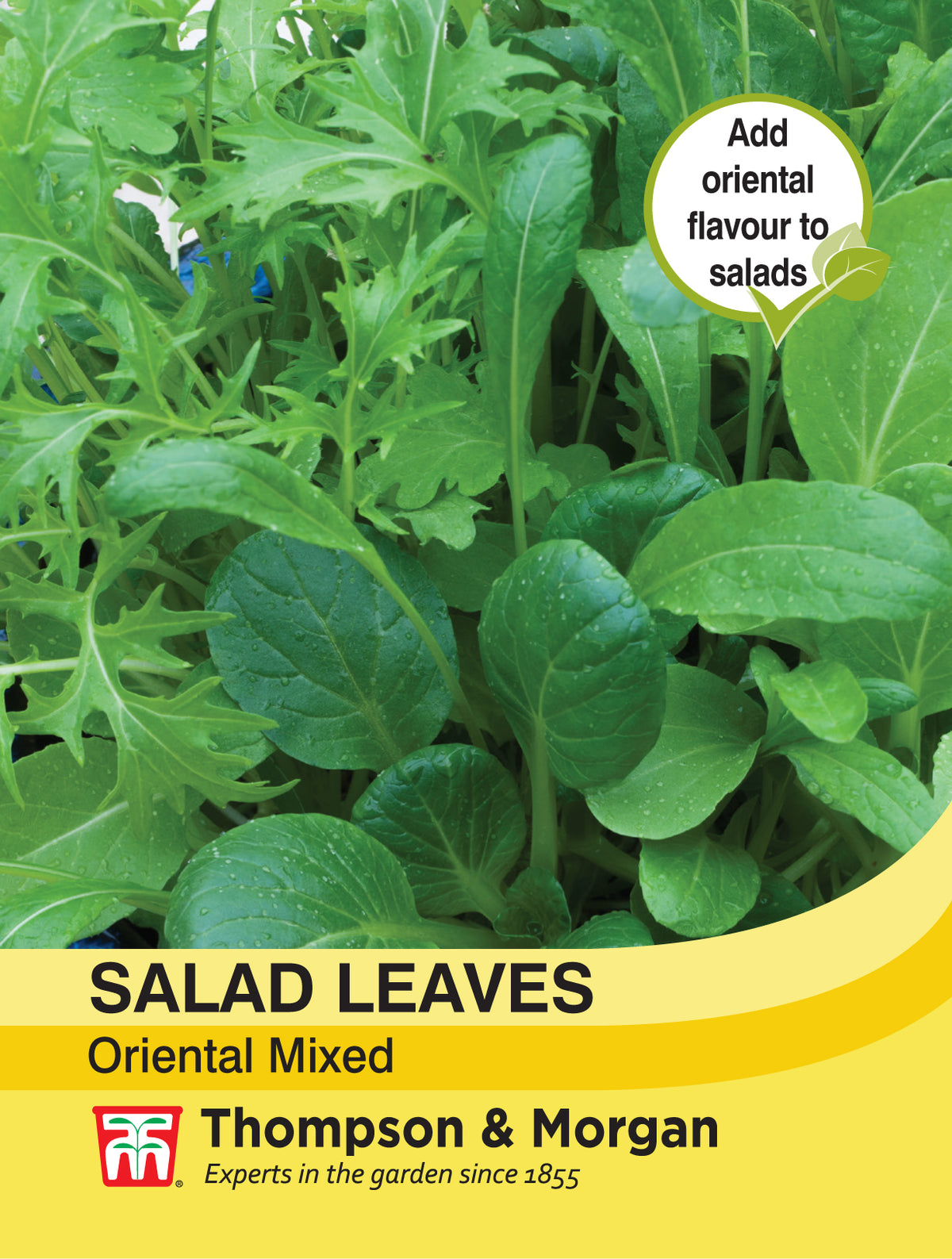 Salad Leaves - Oriental Mixed- Pack of seeds