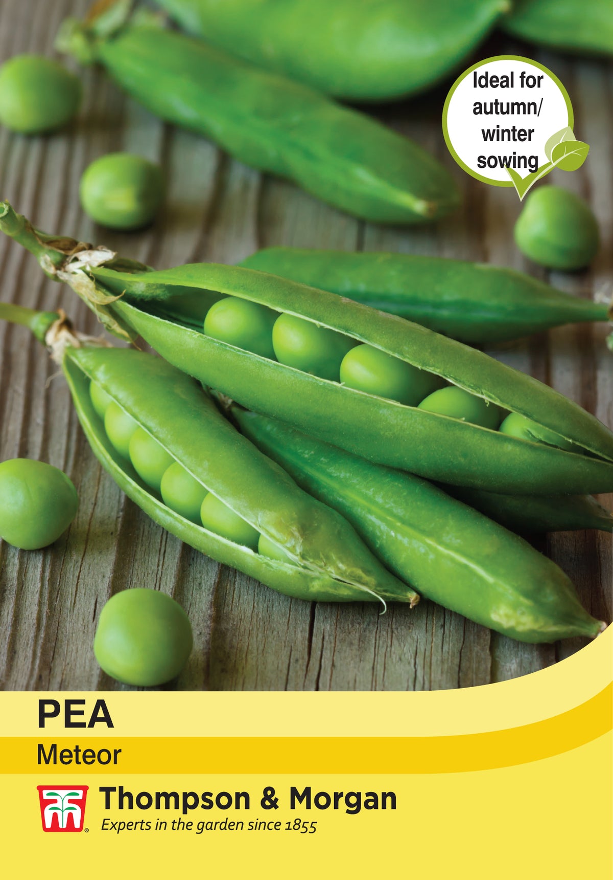 Pea Meteor- Pack of seeds