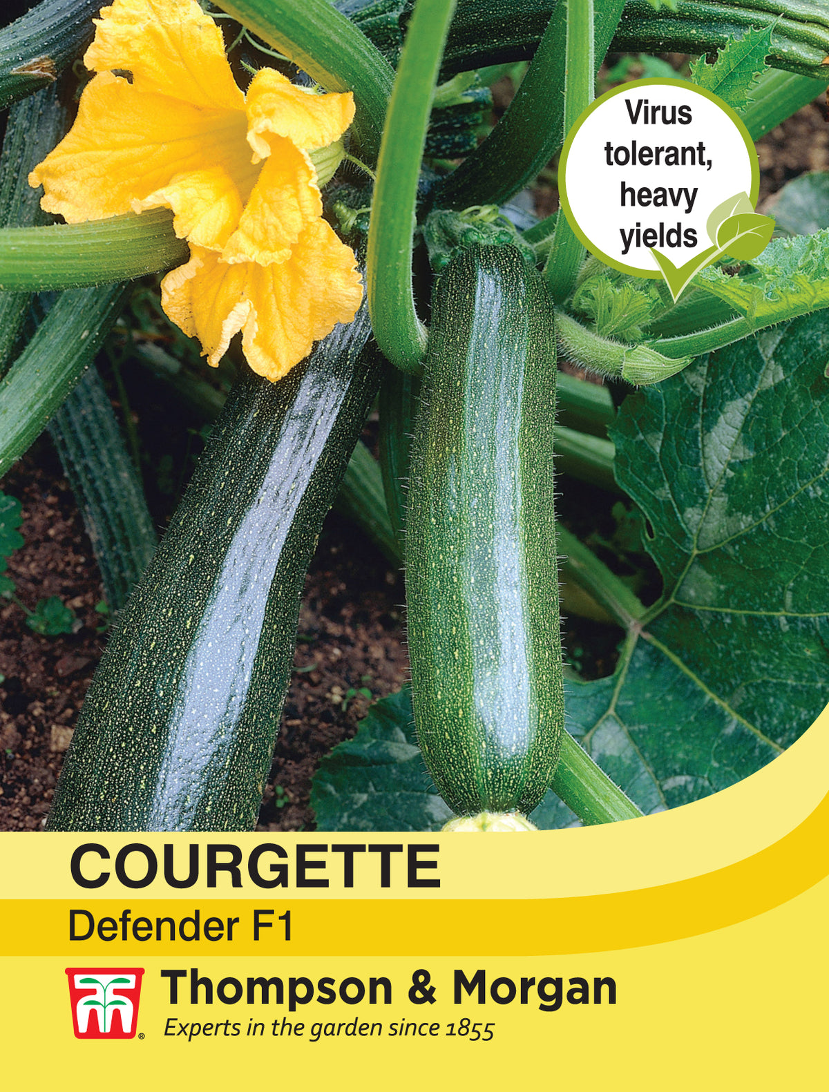 Courgette Defender F1 Hybrid- Pack of seeds