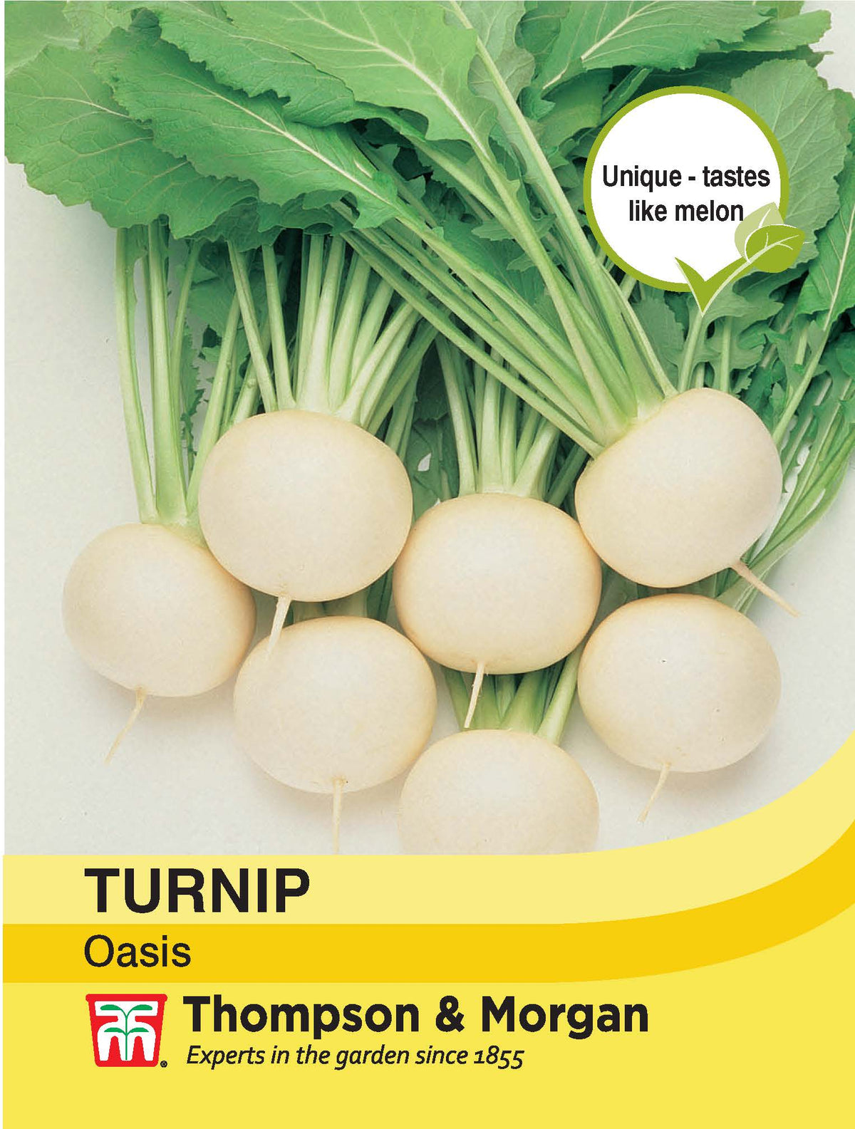 Turnip Oasis- Pack of seeds