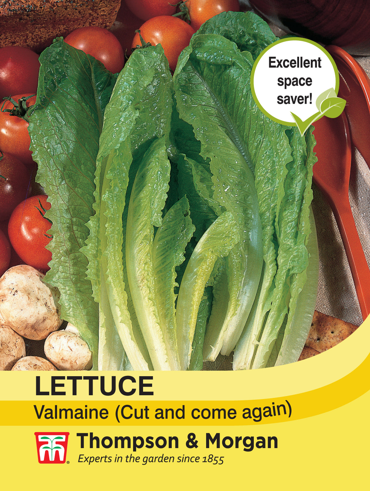 Lettuce Valmaine (Cut and Come Again)- Pack of seeds