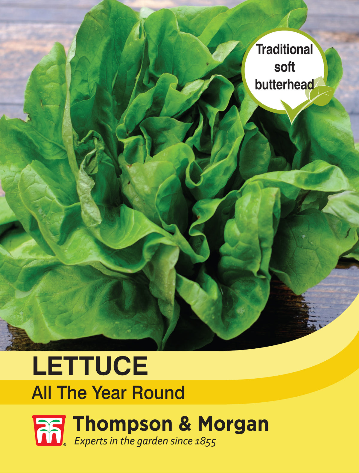 Lettuce All Year Round- Pack of seeds