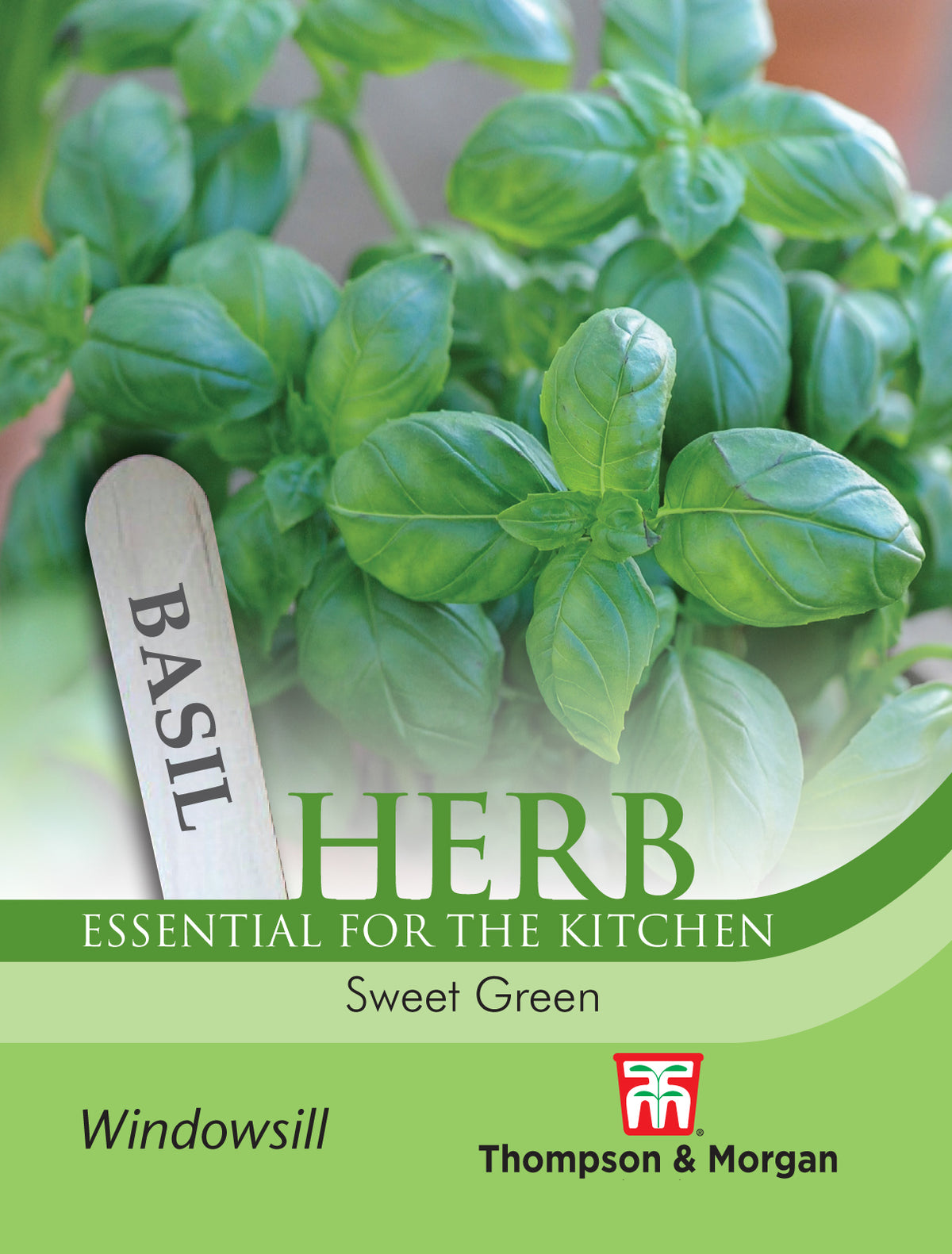 Herb Basil Sweet Green- Pack of seeds