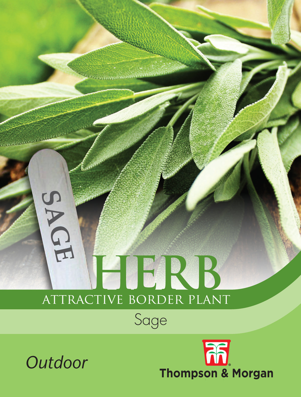 Herb Sage- Pack of seeds