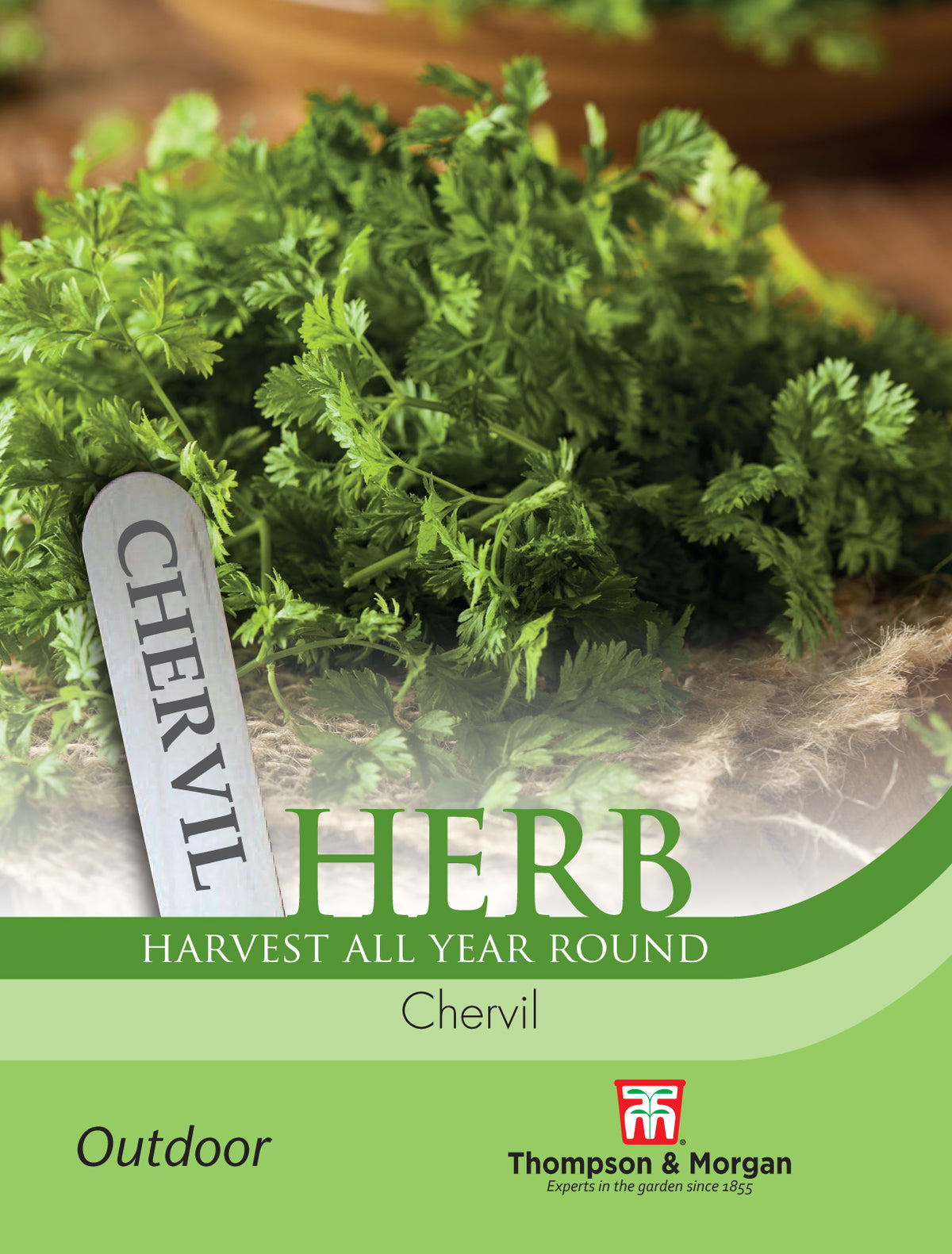Herb Chervil- Pack of seeds