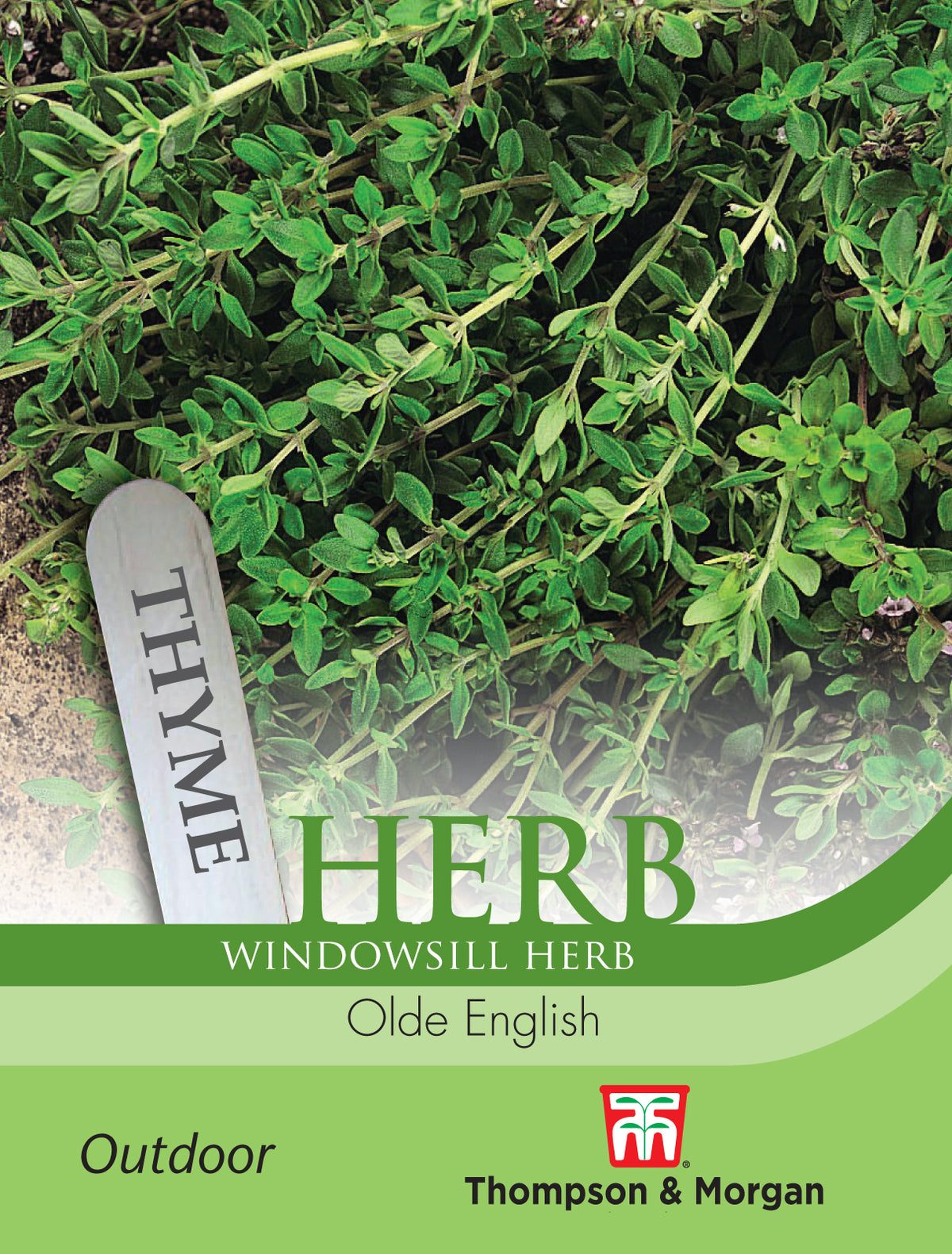 Herb Thyme Olde English- Pack of seeds