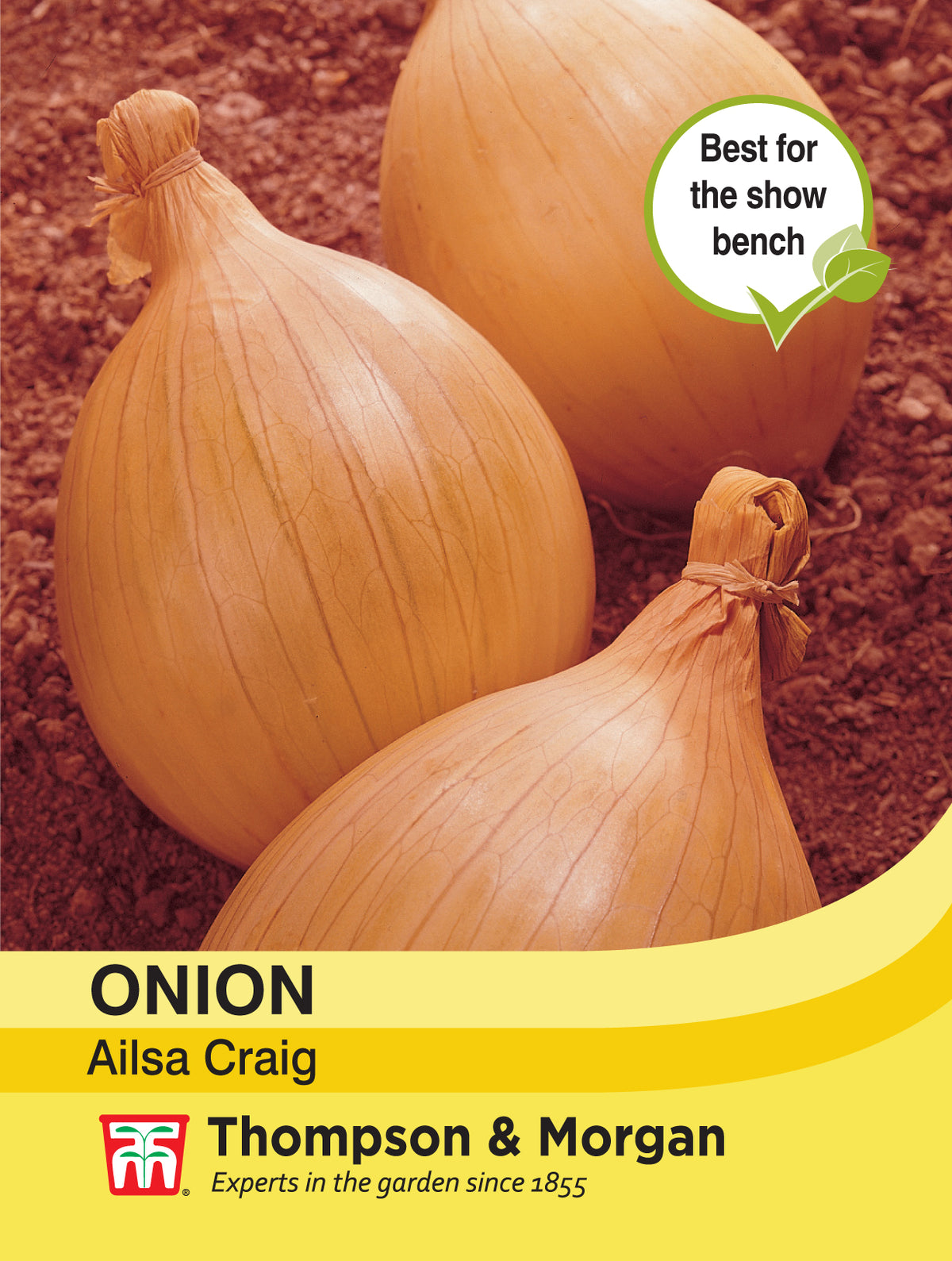 Onion Ailsa Craig- Pack of seeds