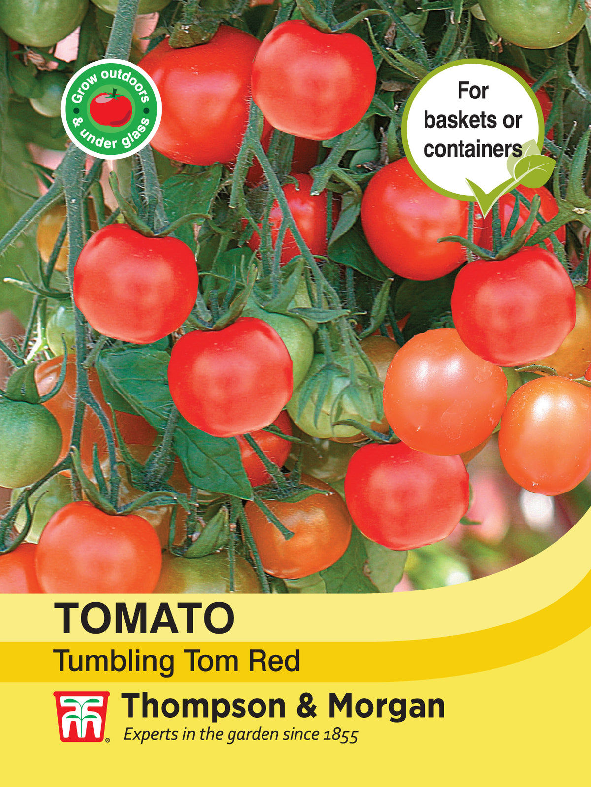 Tomato Tumbling Tom Red- Pack of seeds