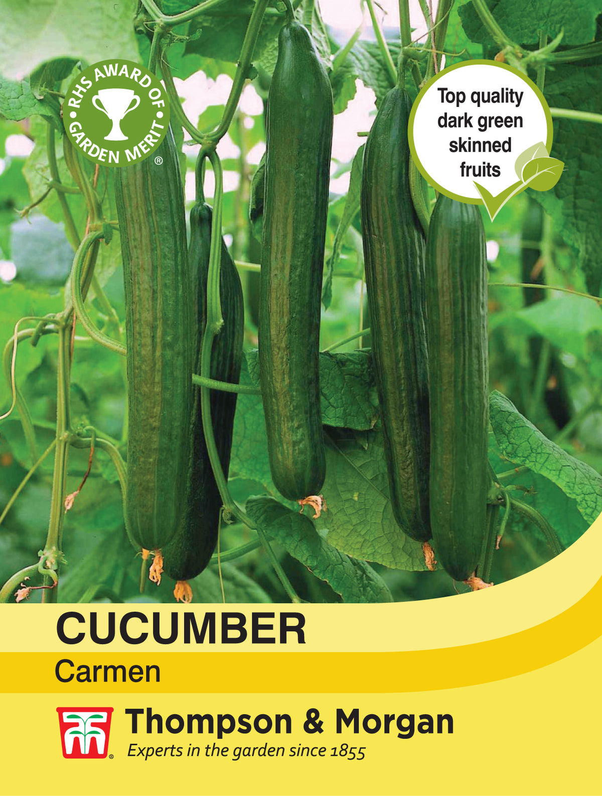Cucumber Carmen- Pack of seeds