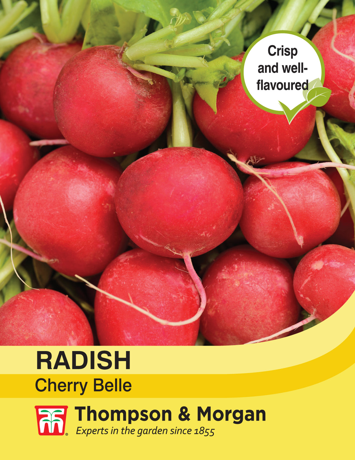 Radish Cherry Belle- Pack of seeds