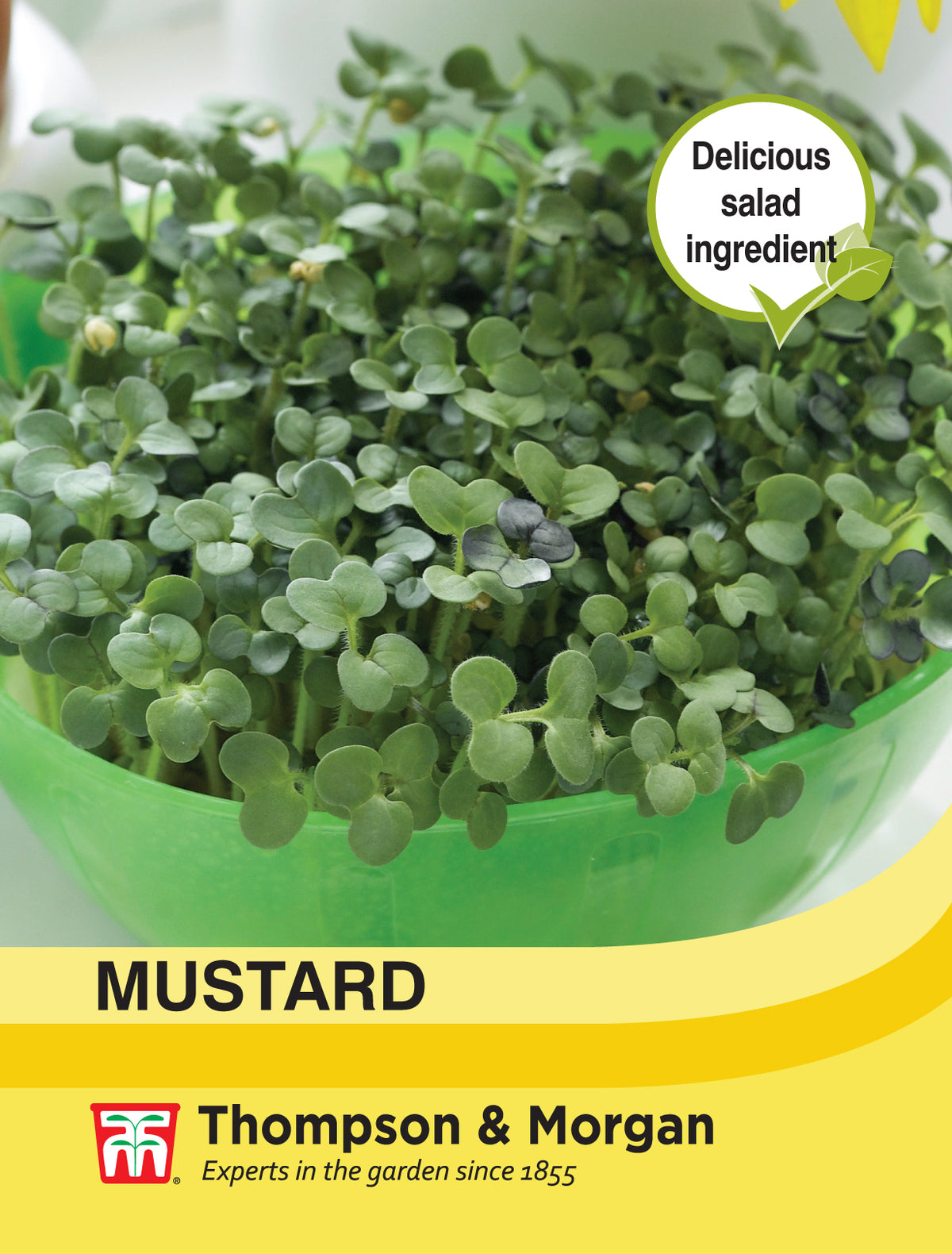 Mustard- Pack of seeds