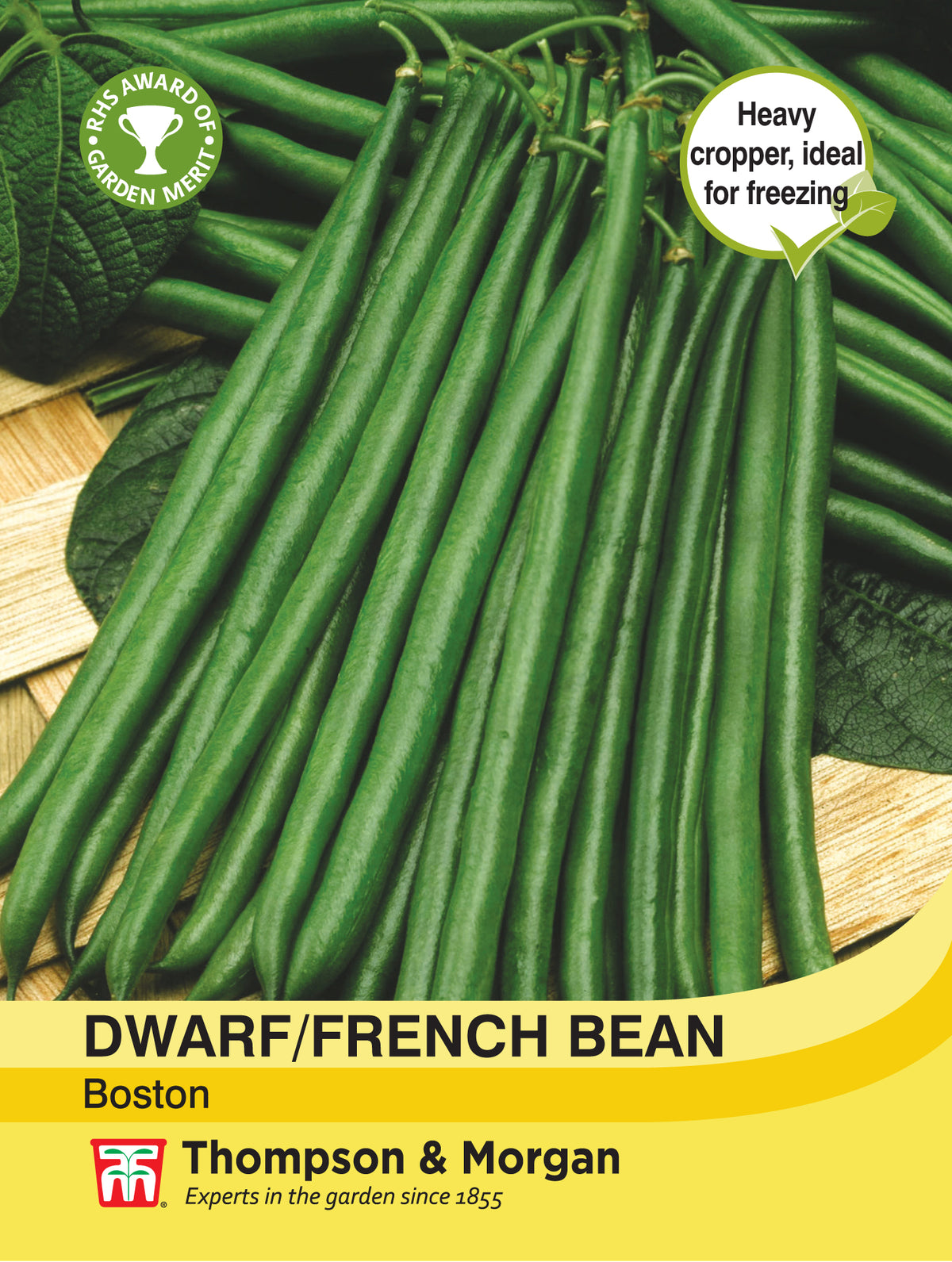 Dwarf Bean Boston- Pack of seeds