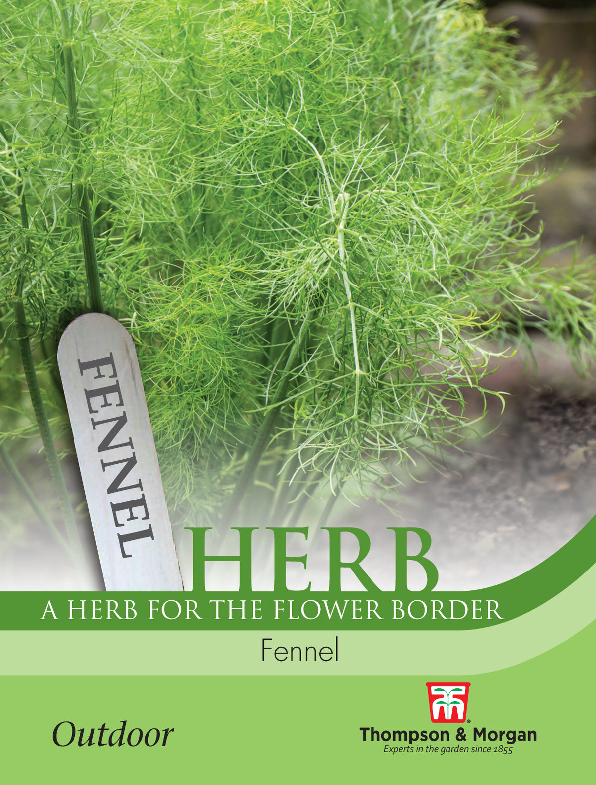 Herb Fennel- Pack of seeds