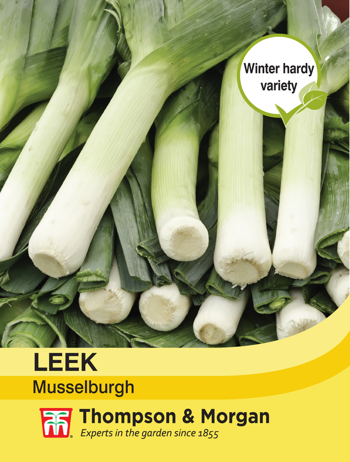 Leek Musselburgh- Pack of seeds