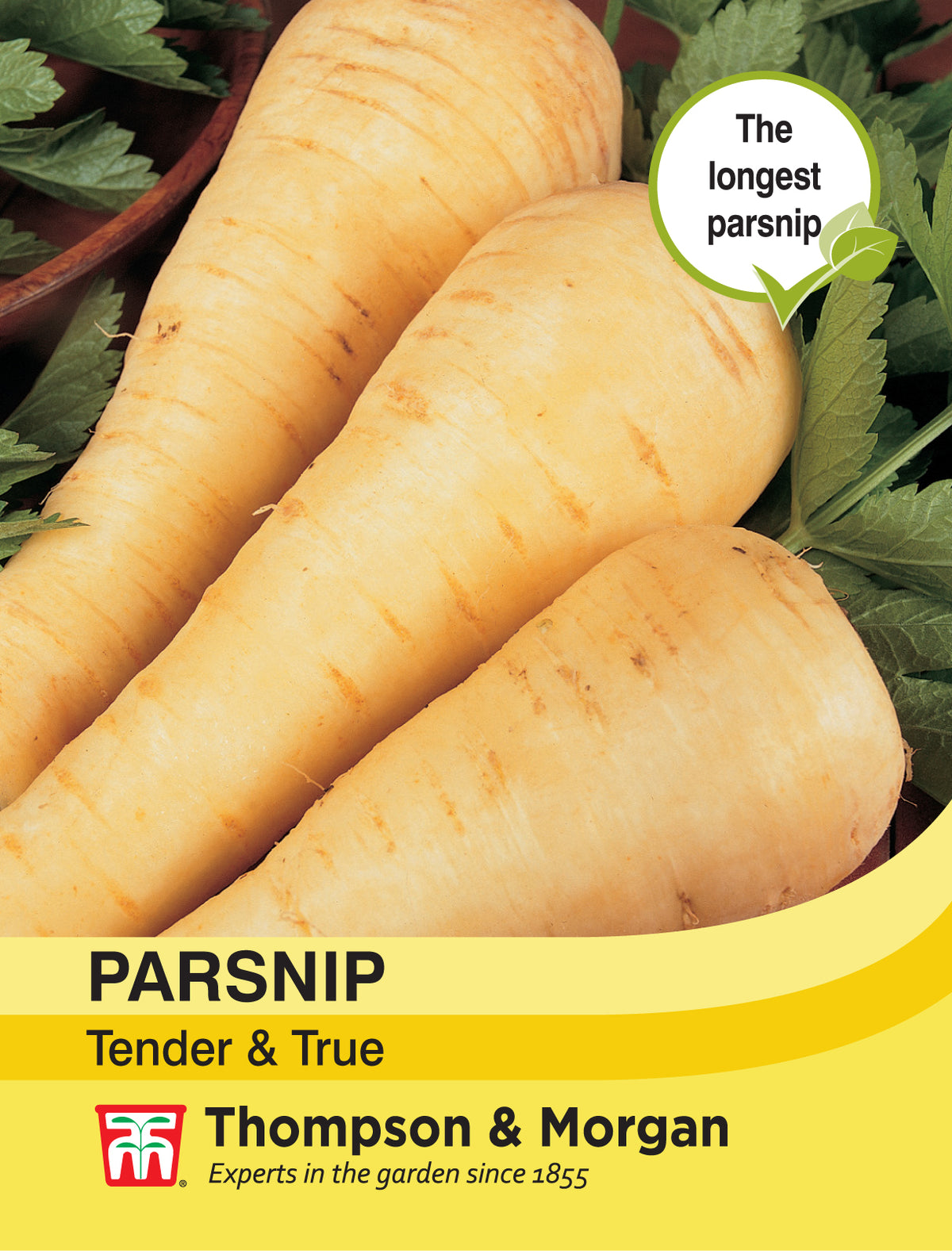 Parsnip Tender & True- Pack of seeds
