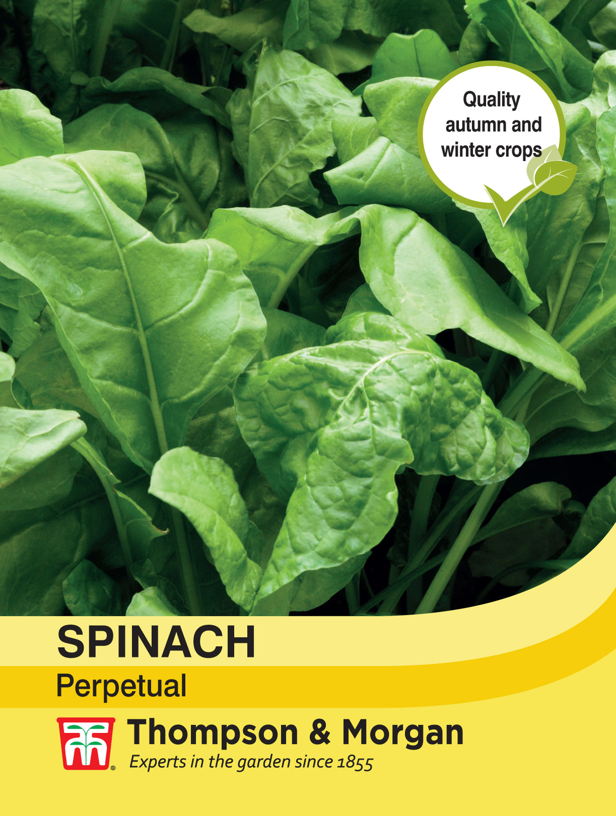 Spinach Perpetual- Pack of seeds
