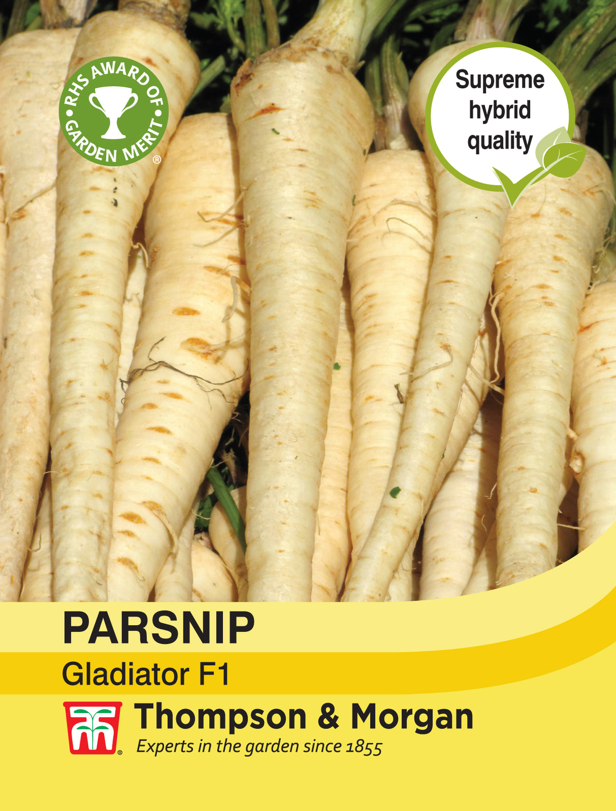 Parsnip Gladiator F1 Hybrid- Pack of seeds