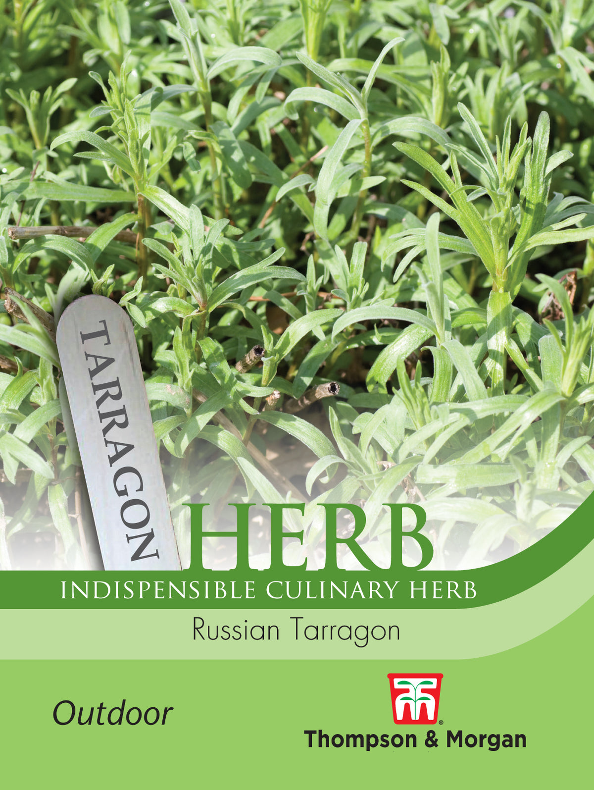 Herb Russian Tarragon- Pack of seeds