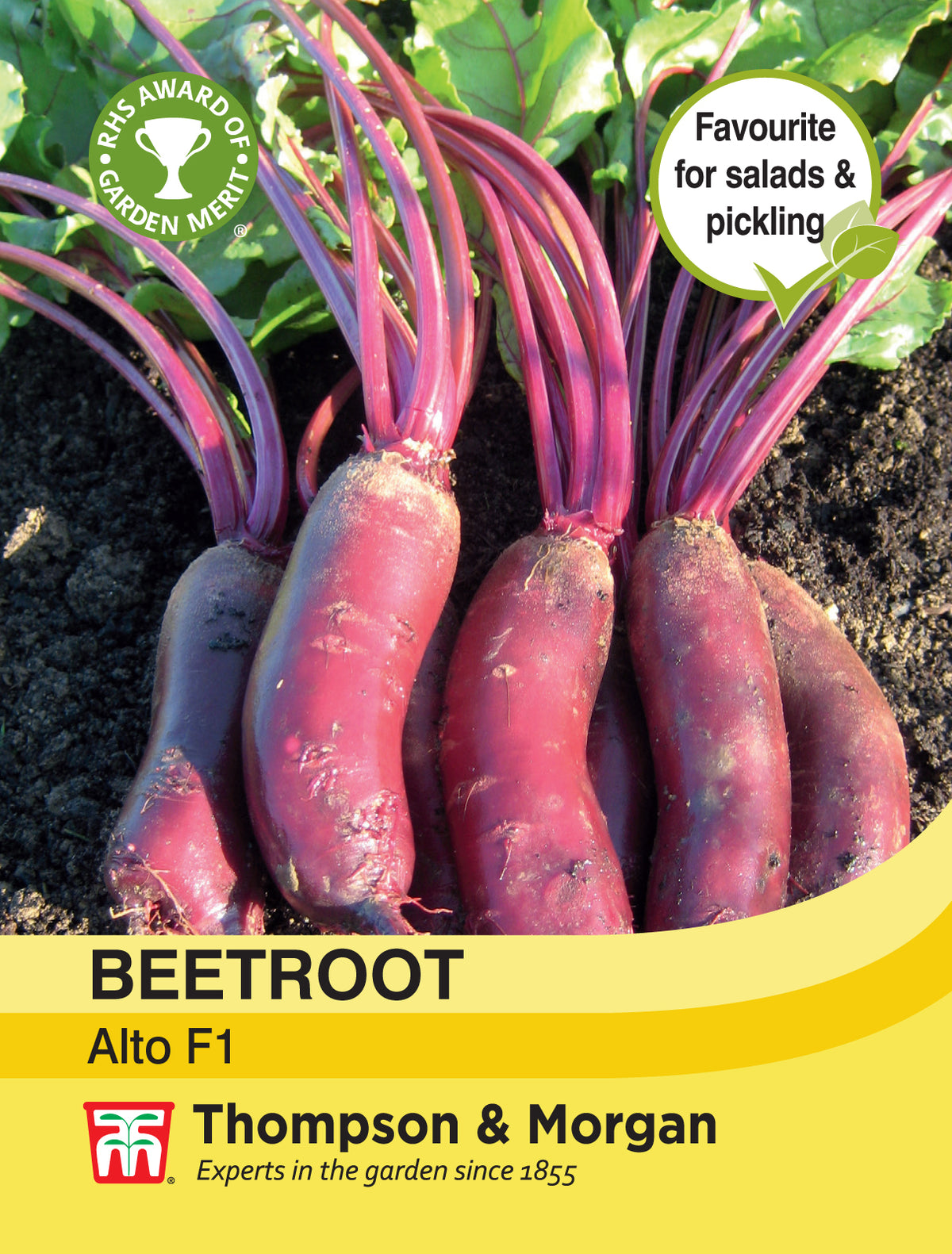 Beetroot Alto F1 Hybrid- Pack of seeds